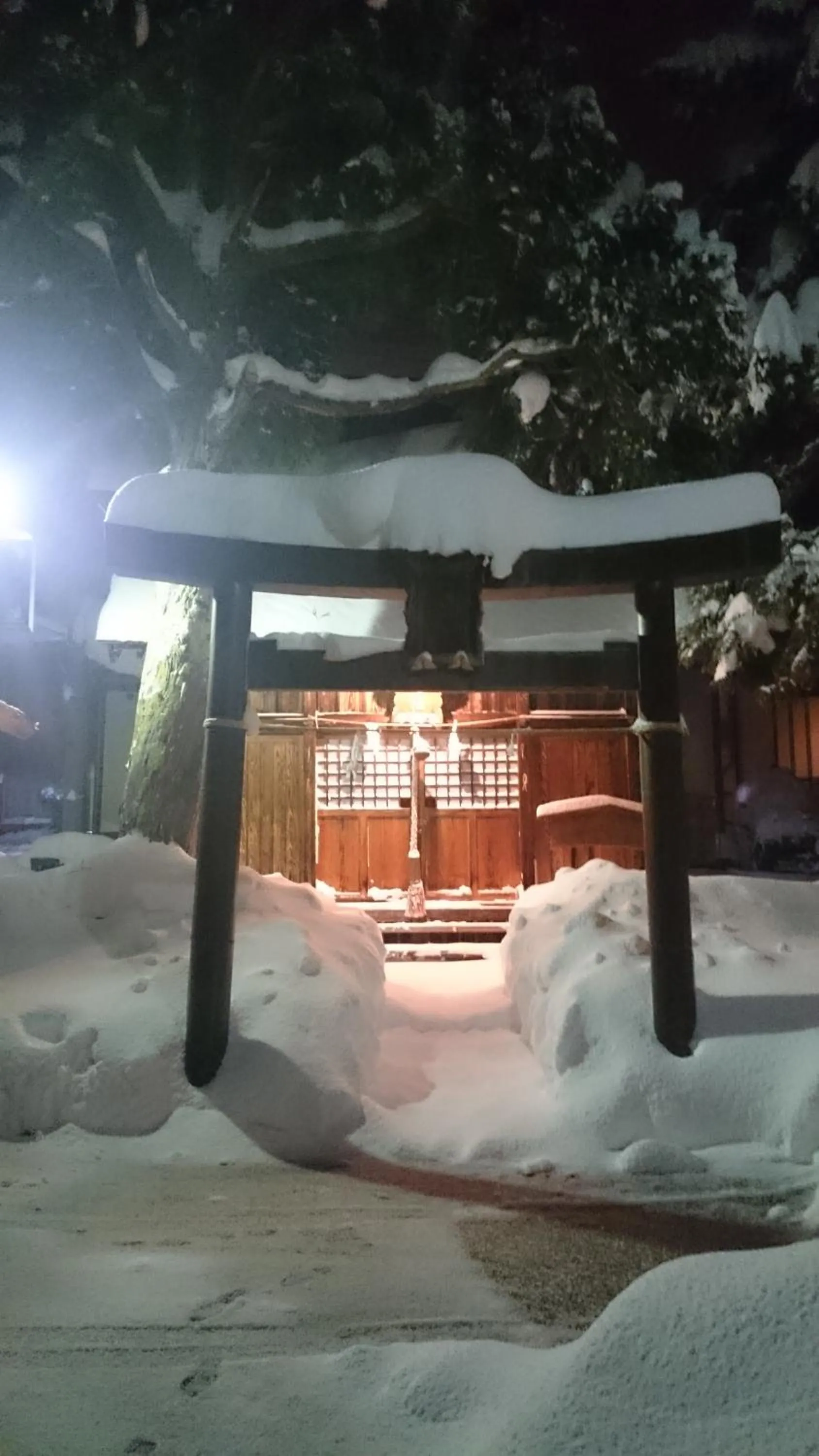 Off site in Nozawa Dream