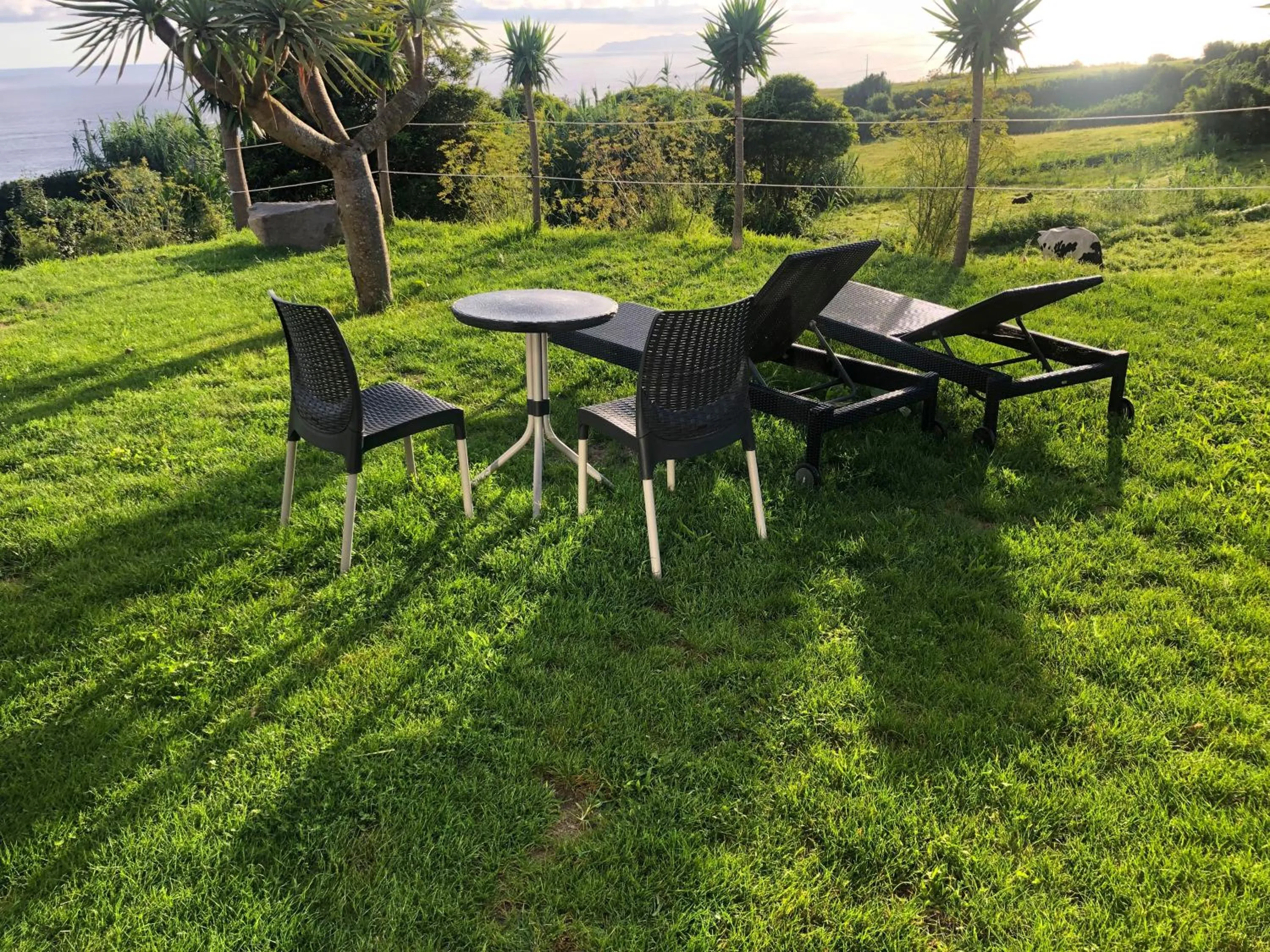 Garden in Pátio Ecolodge
