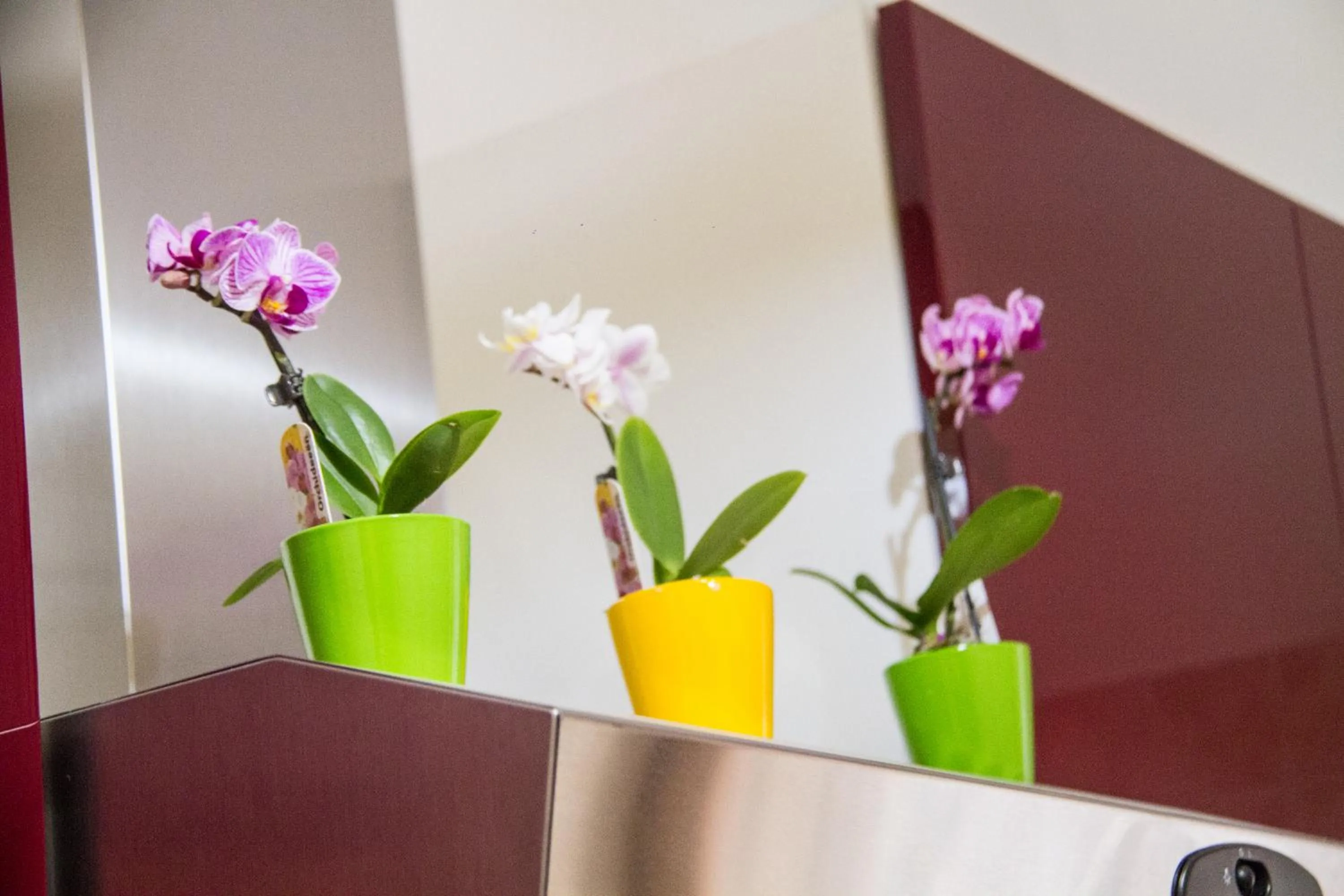 Decorative detail in Domus Romae