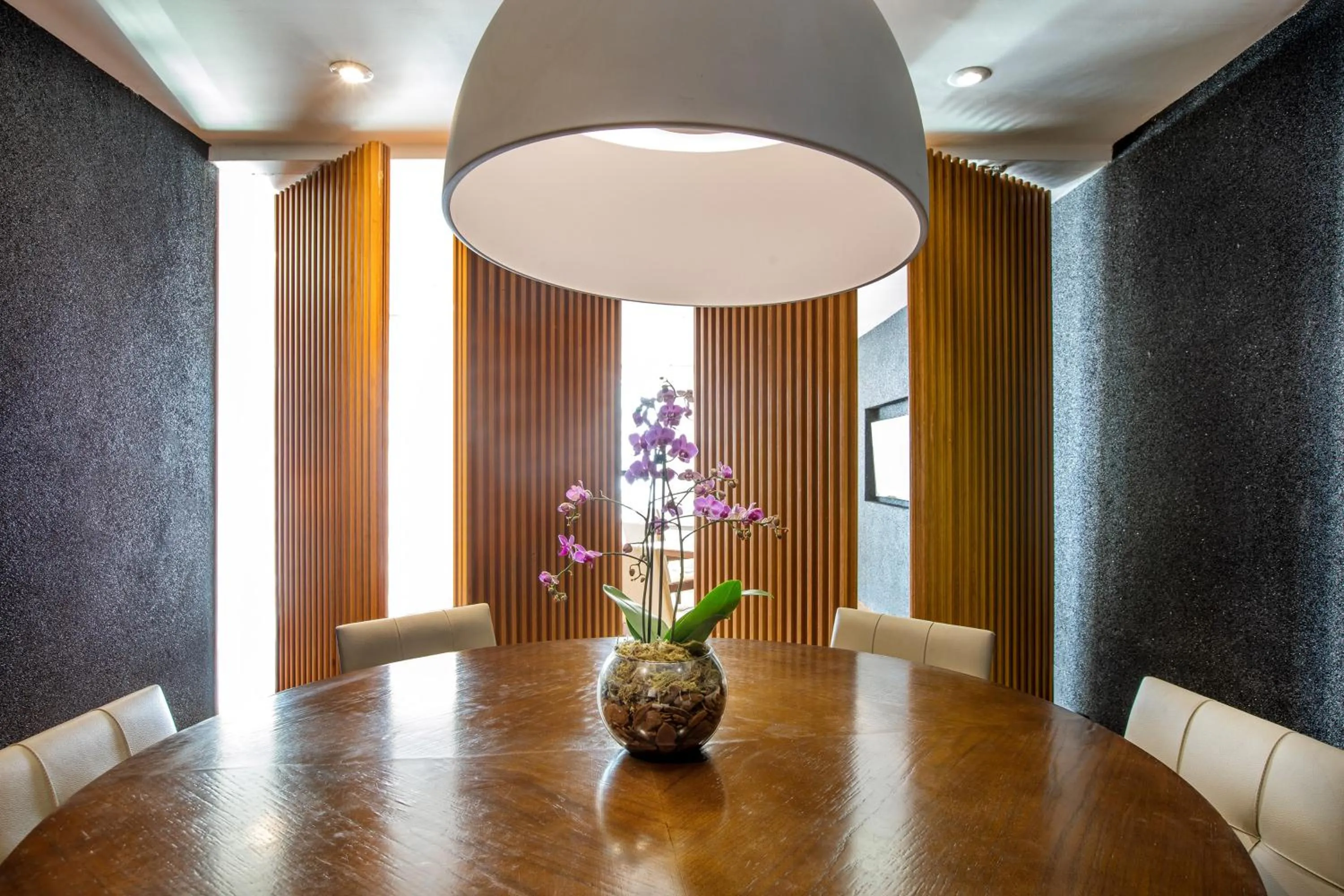 Business facilities in Meliá Brasil 21