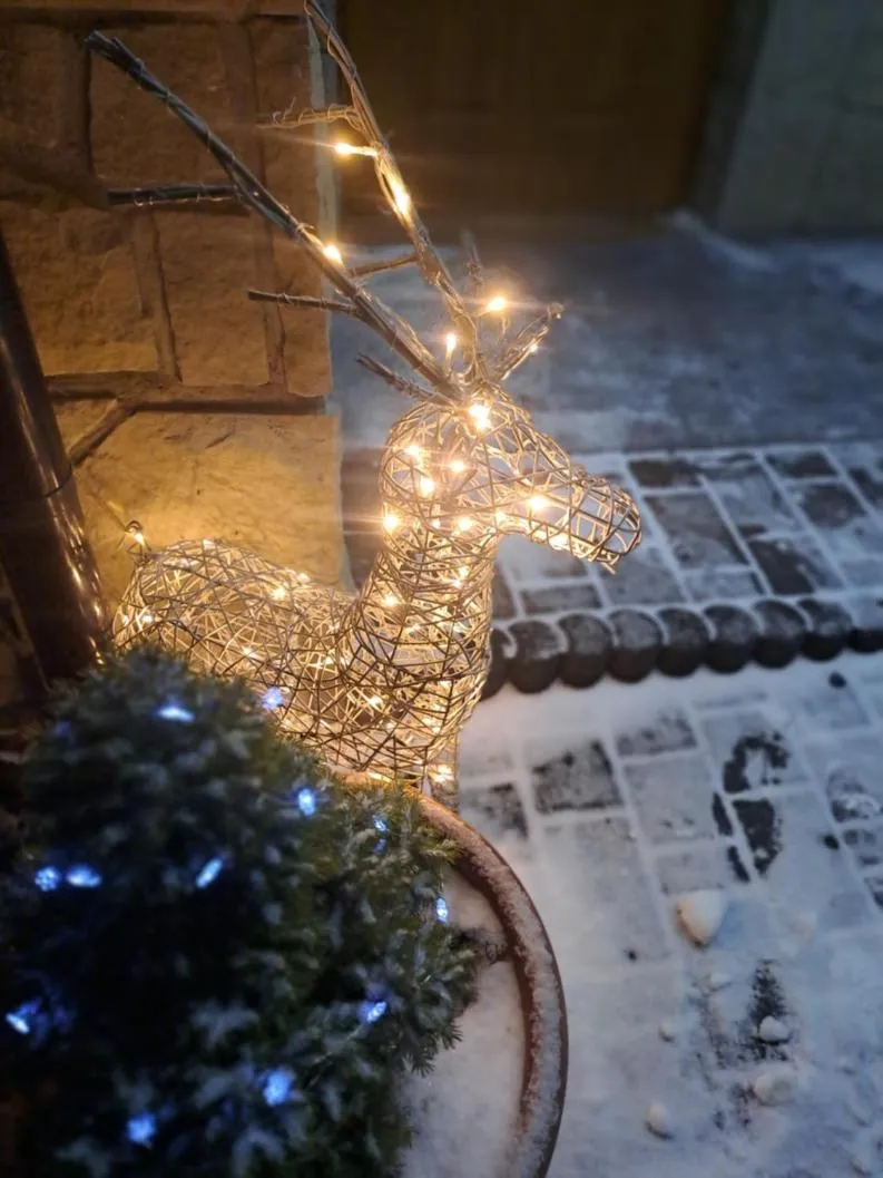 Facade/entrance in Willa Wisienka