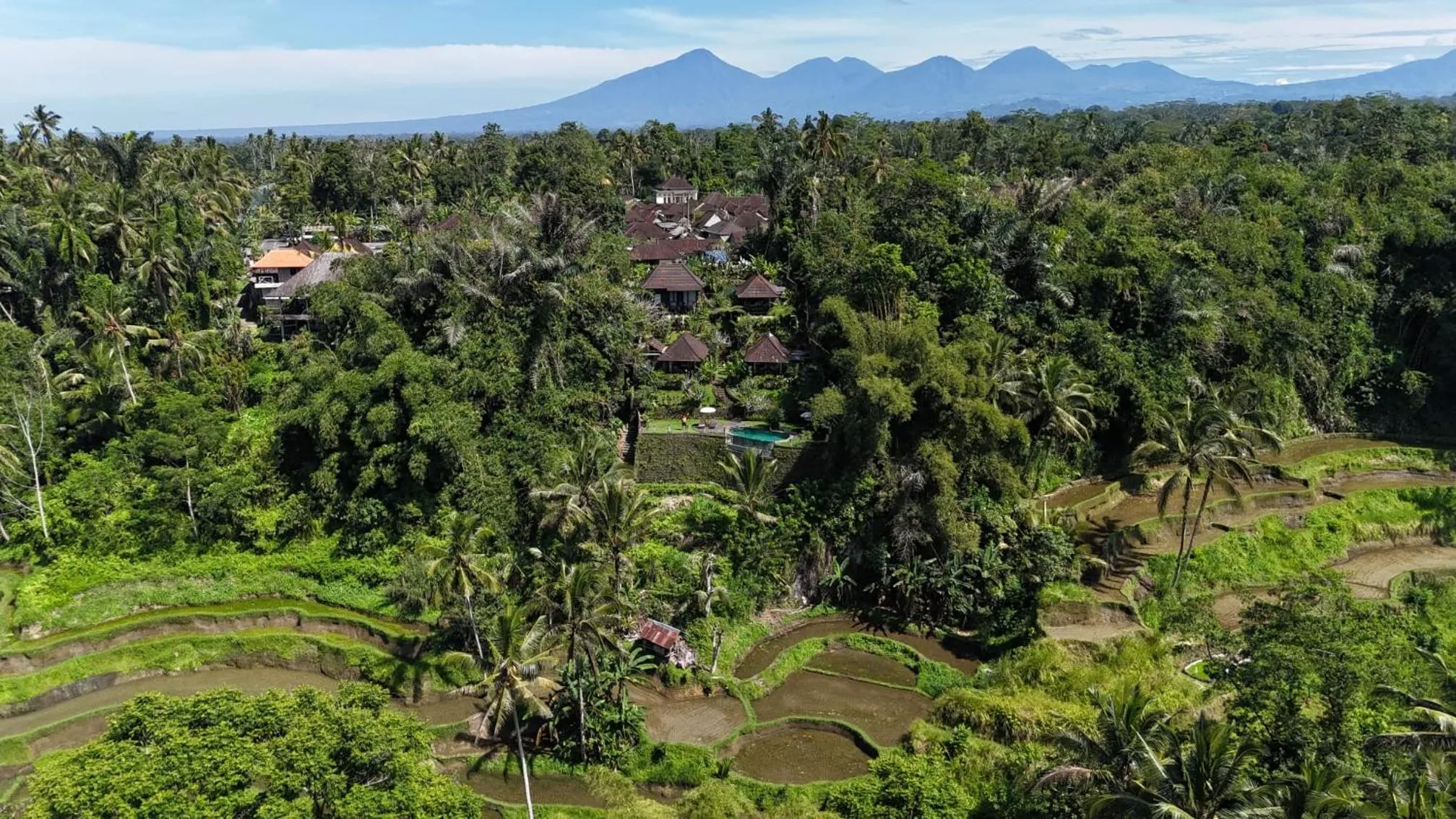 Natural landscape in Villa Wedang