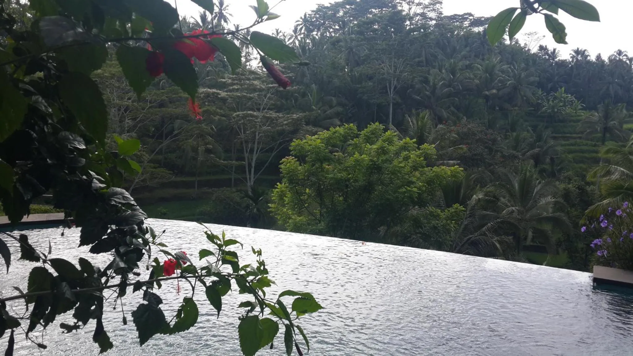 Natural landscape in Villa Wedang