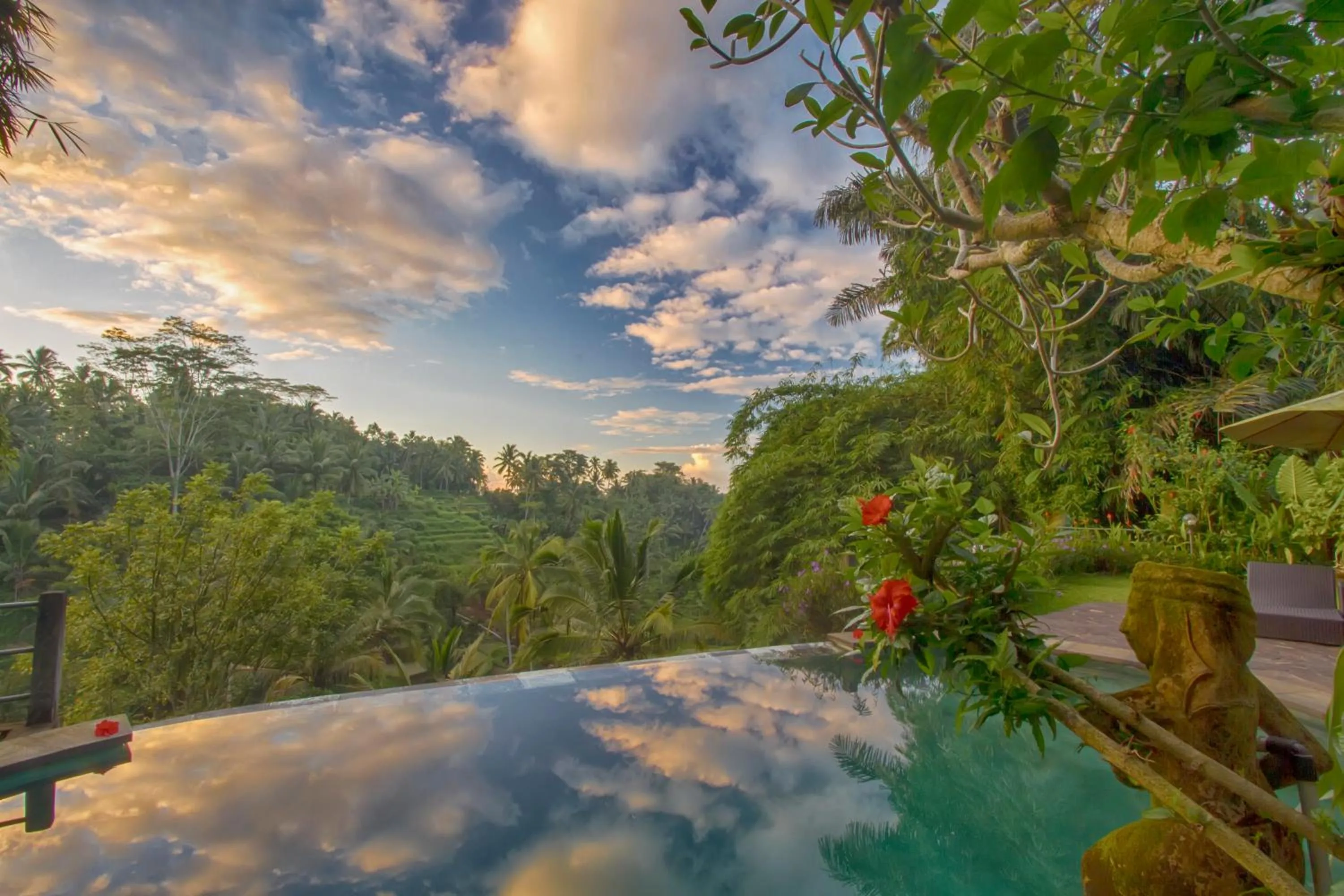 Natural landscape in Villa Wedang