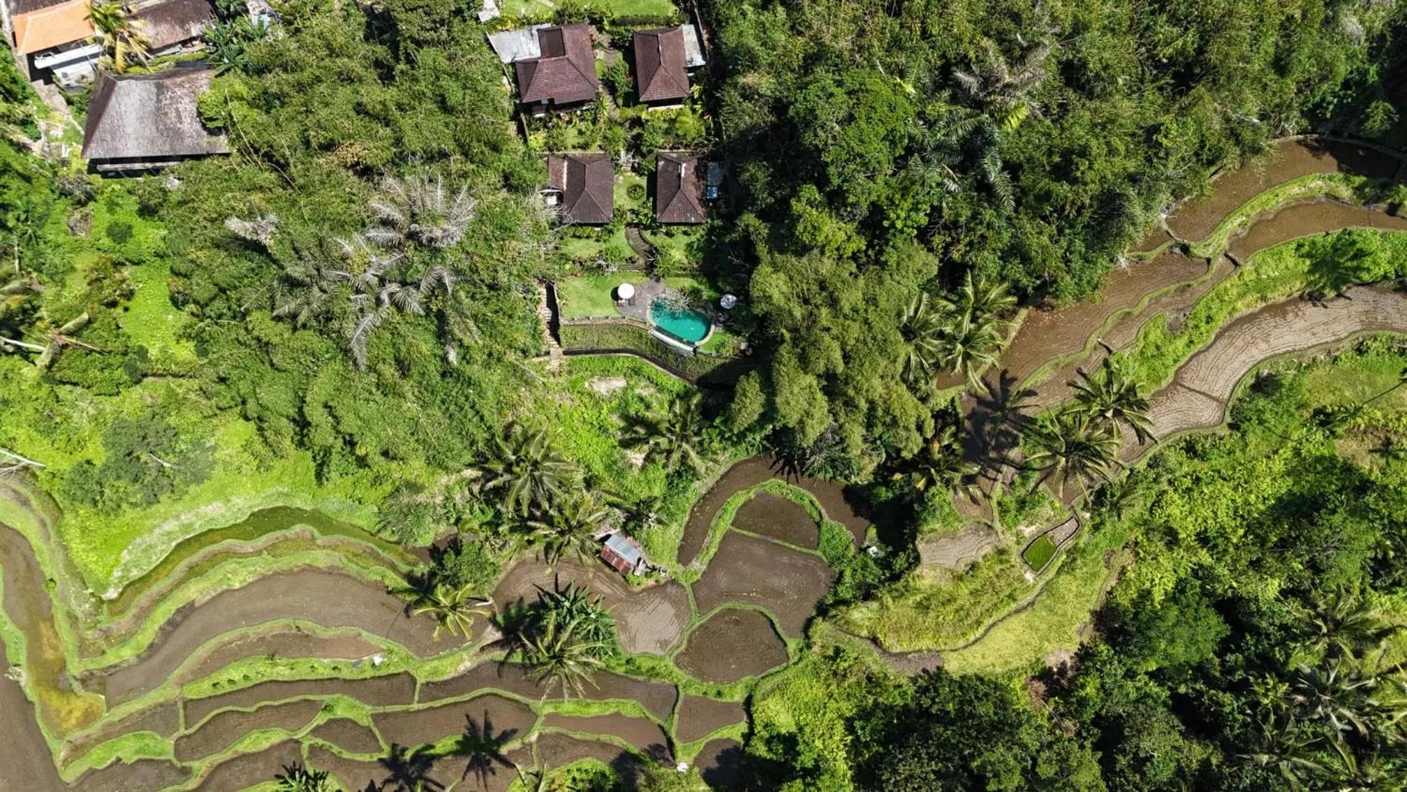 Natural landscape in Villa Wedang