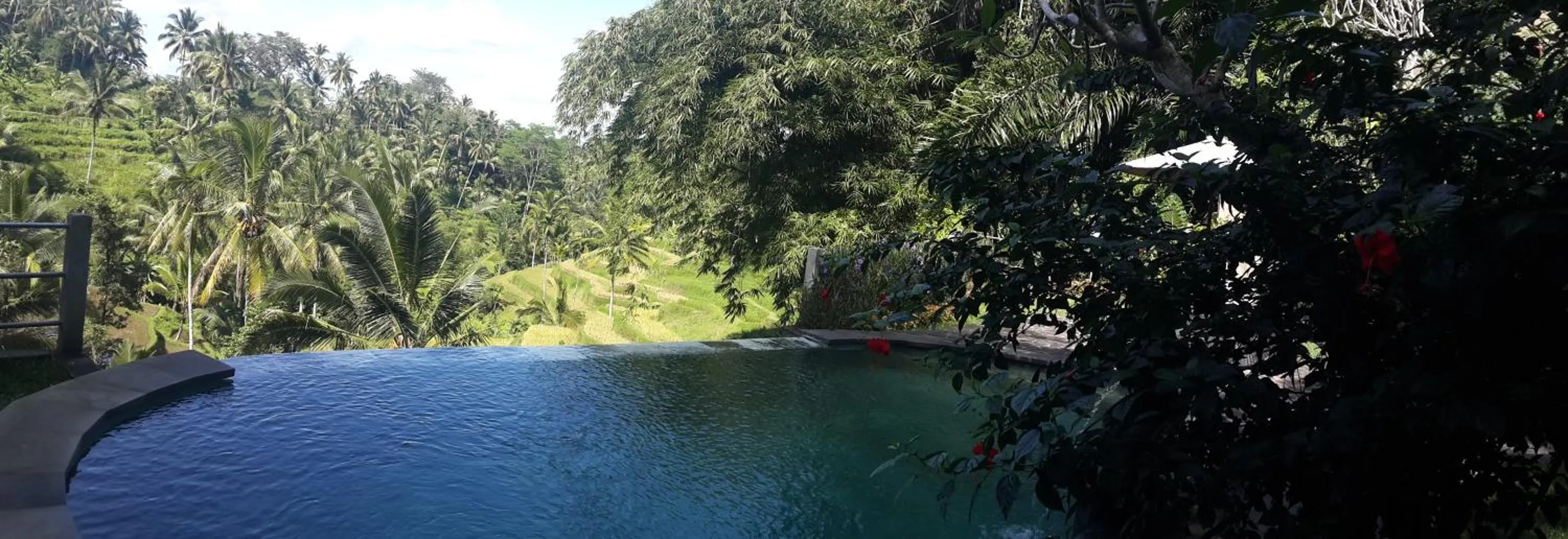 Swimming pool in Villa Wedang