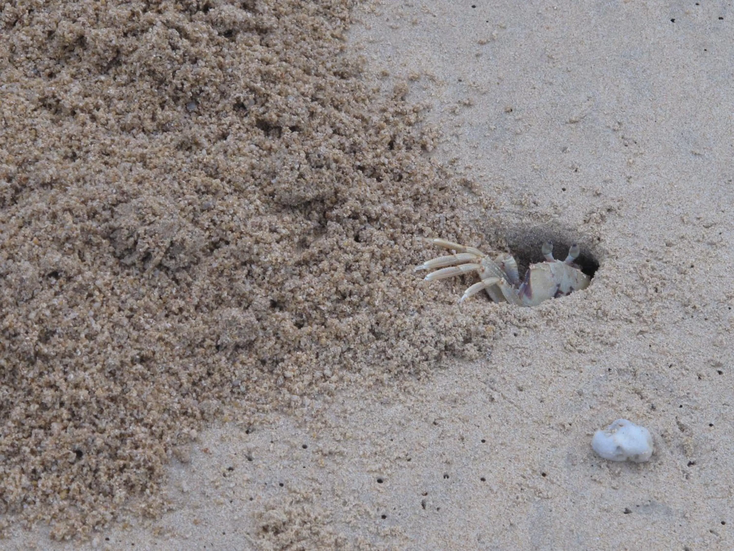 MJ Boutique Hotel Khao Lak