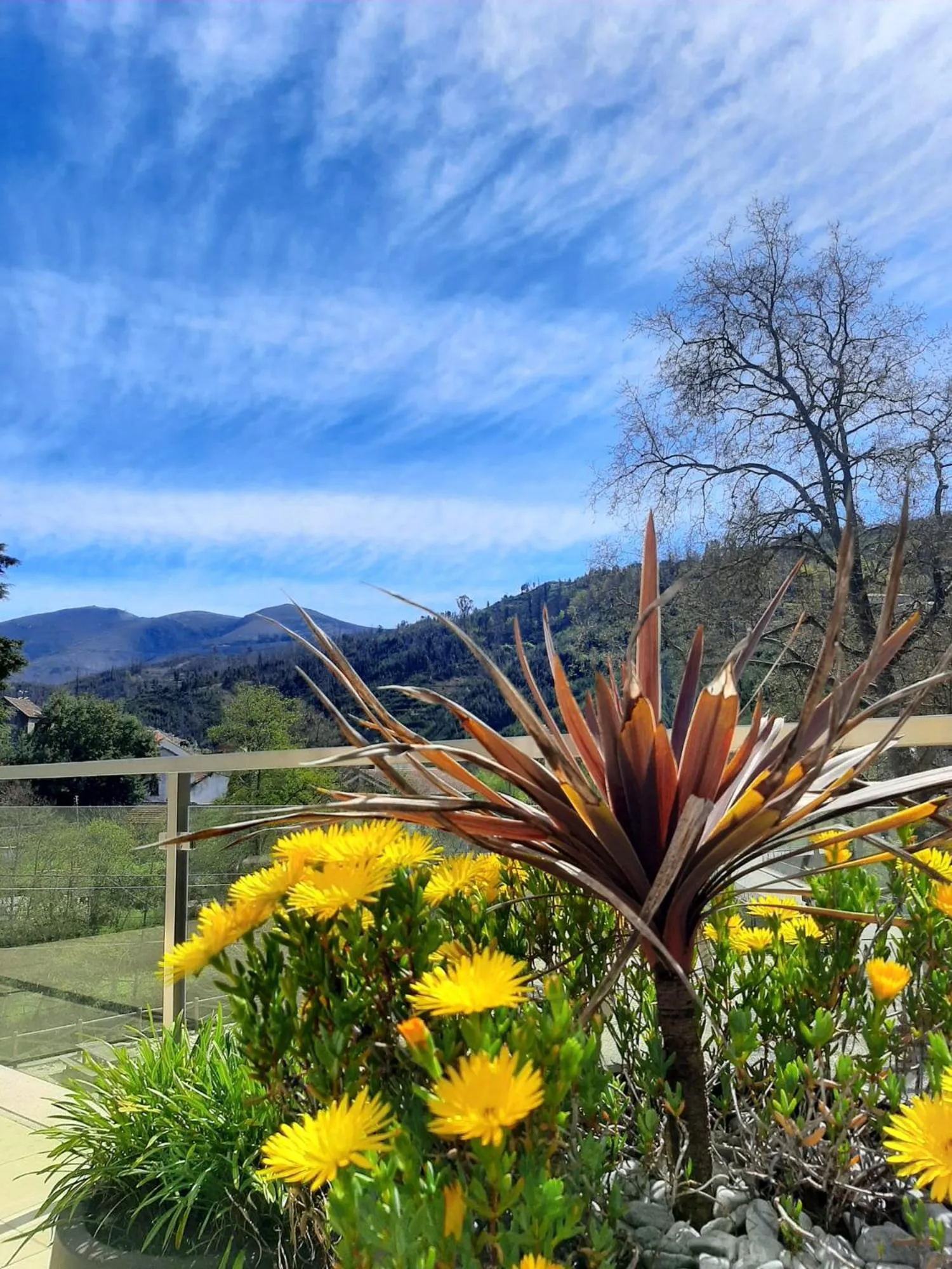 Balcony/Terrace in Alva Valley Hotel