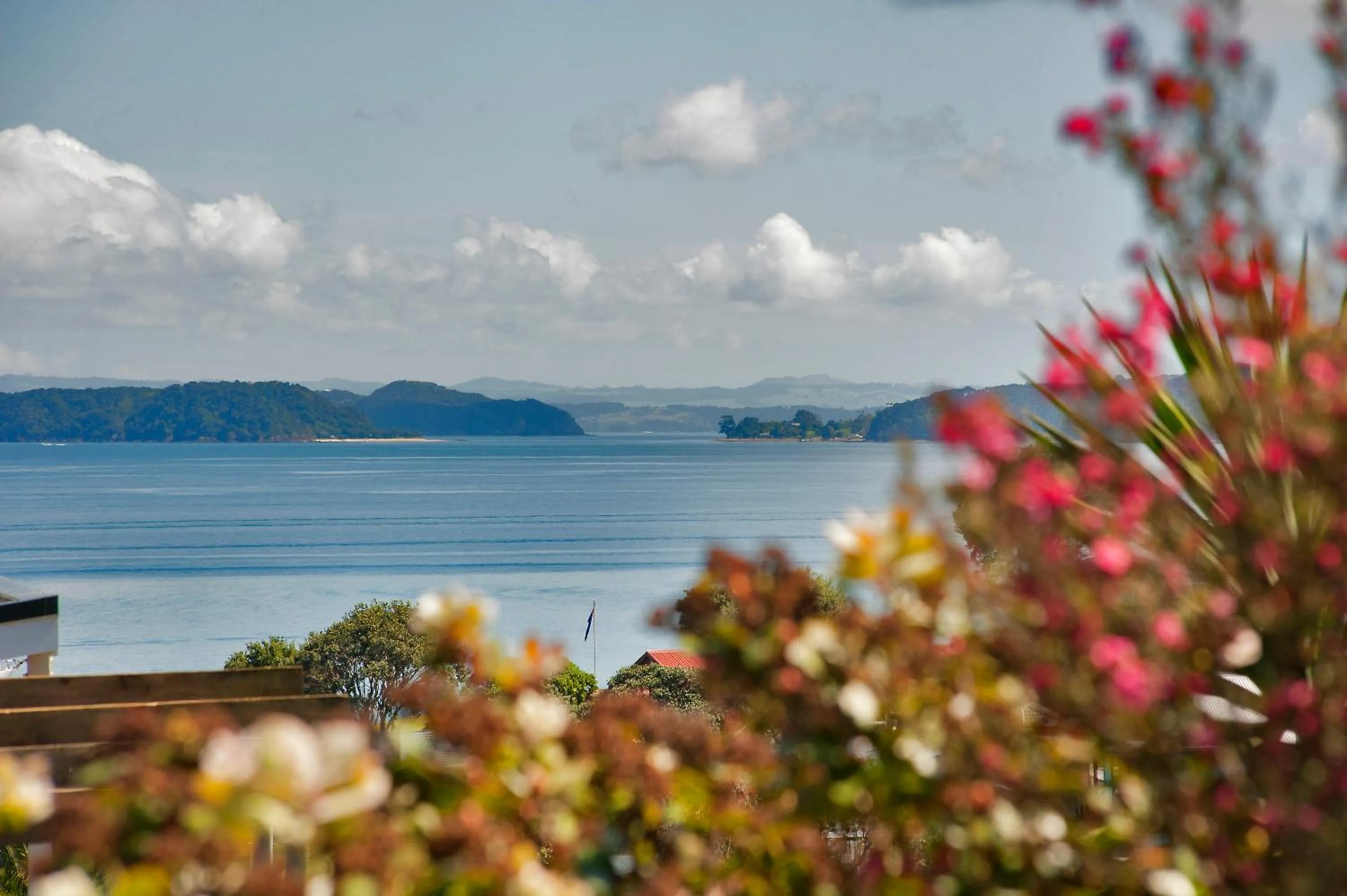 Natural landscape in Robins Nest