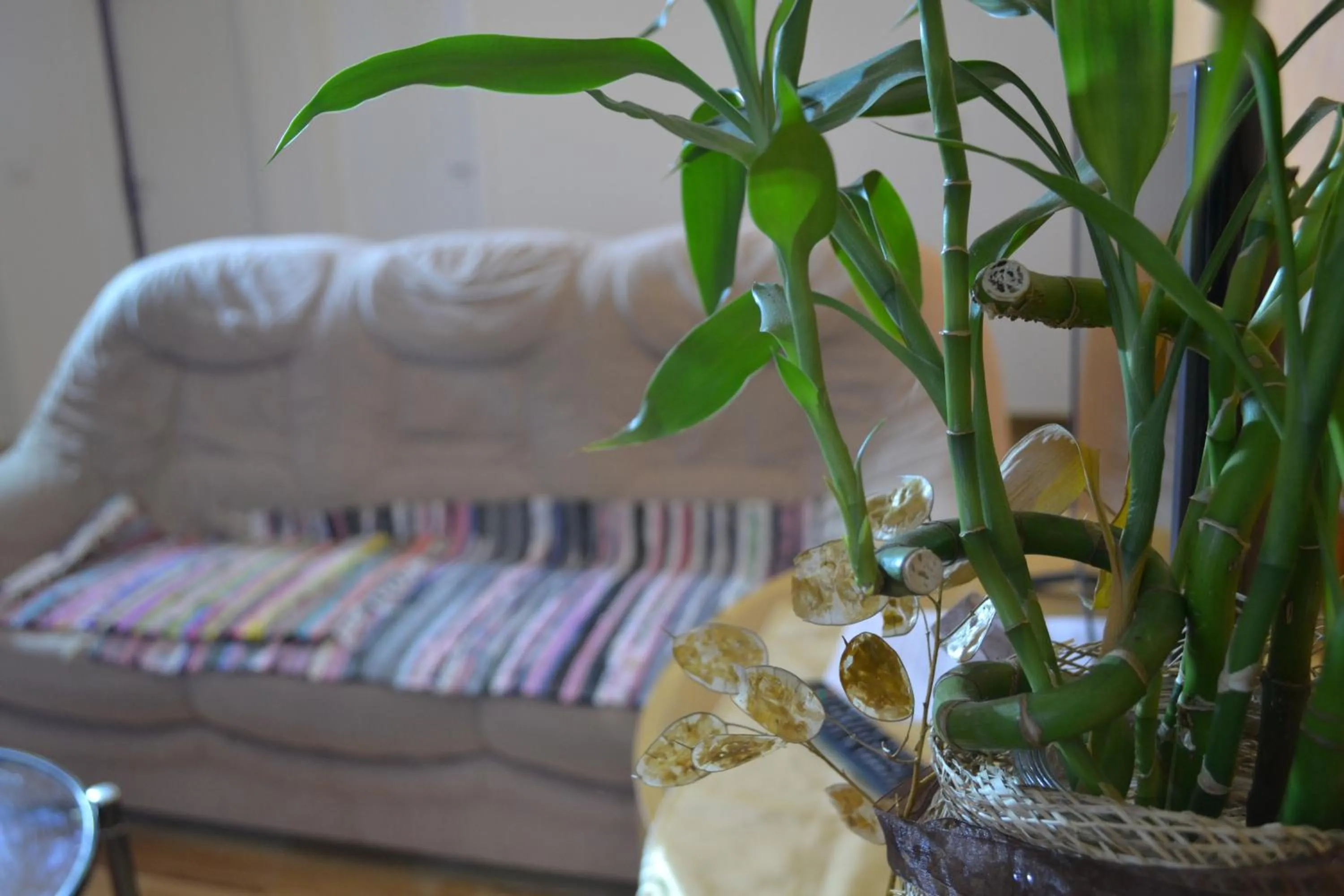 Property building in Airport Apartments