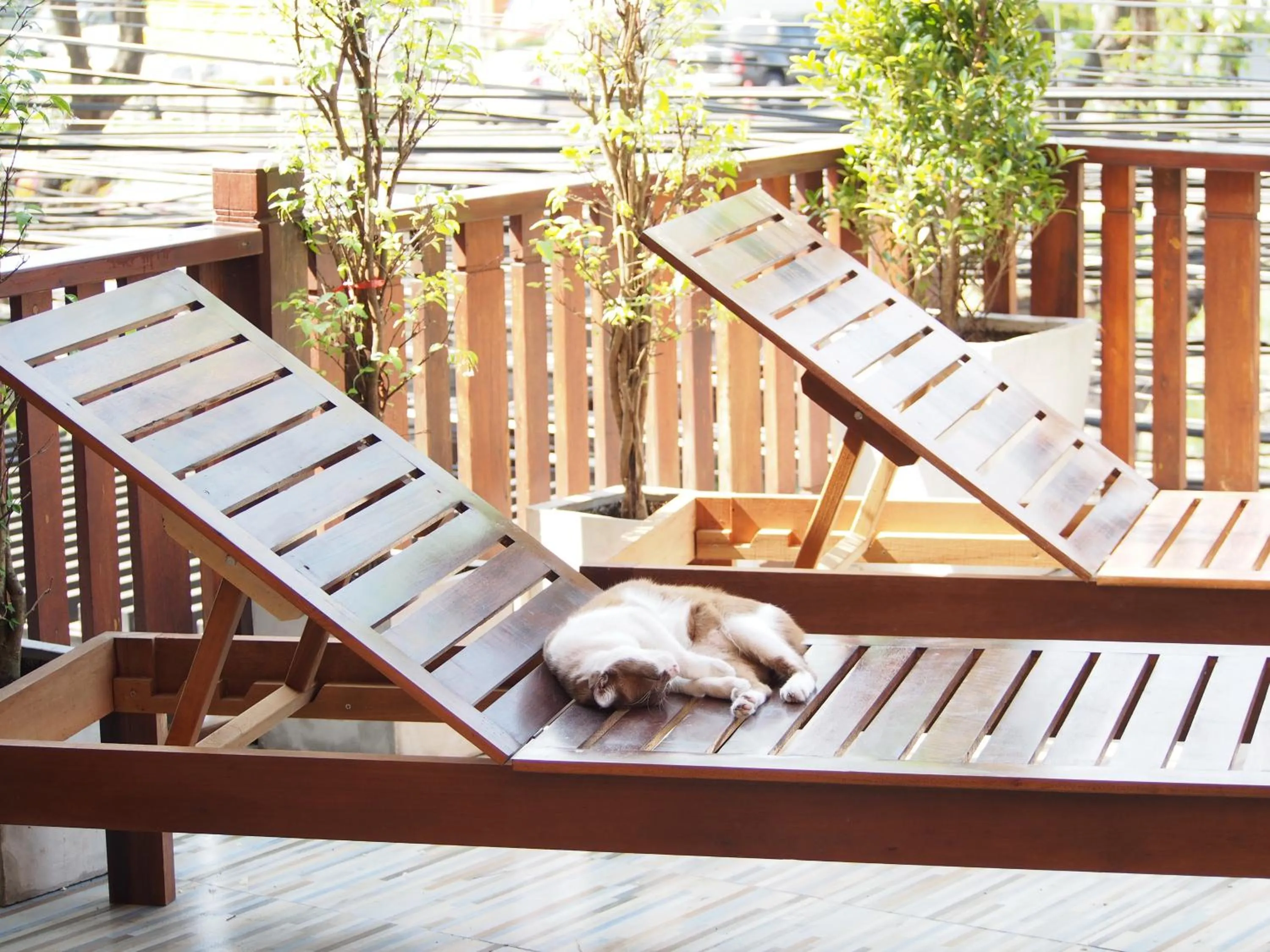 On site in Chommuang Guest House