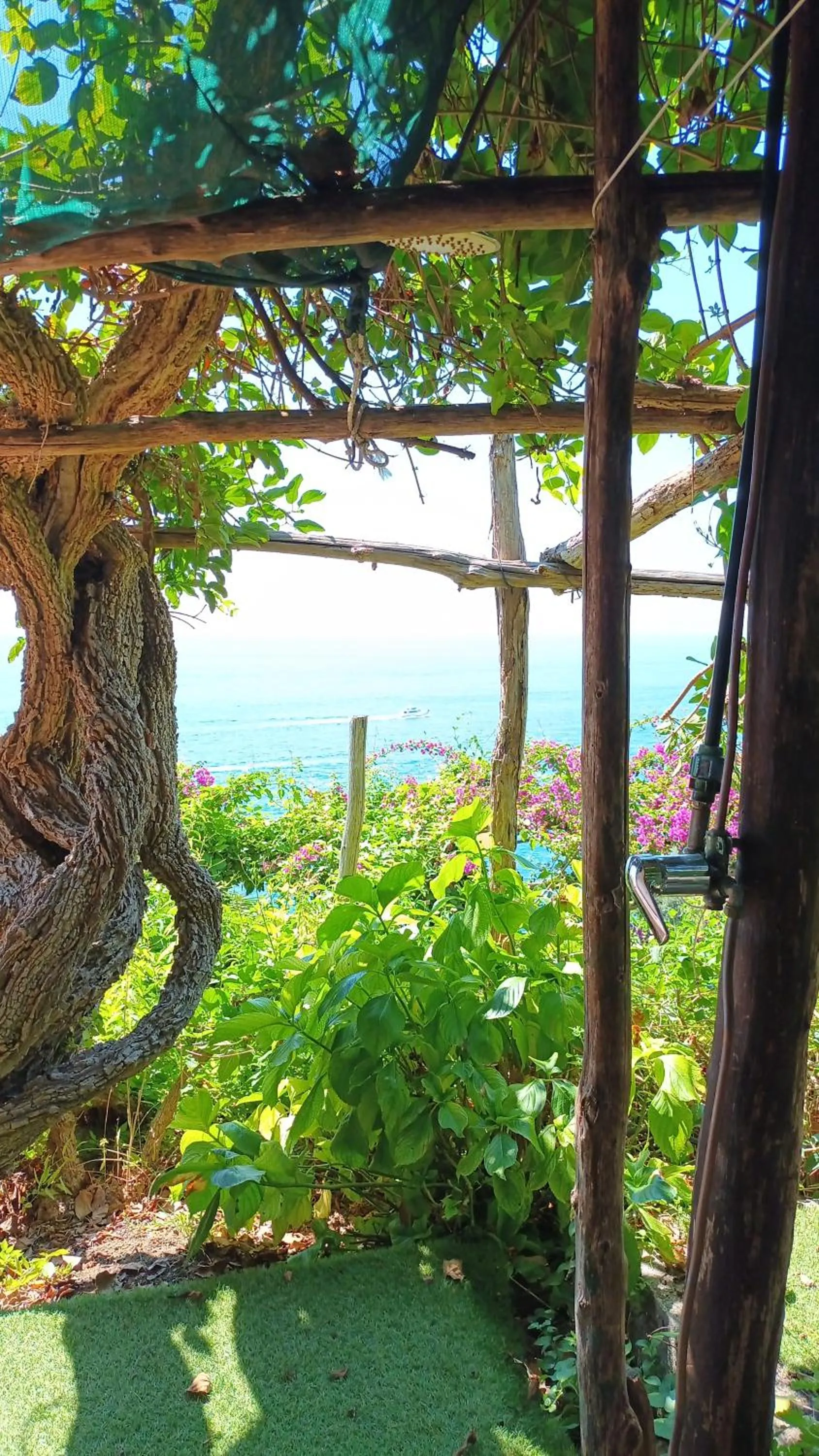Garden in Casa Emi