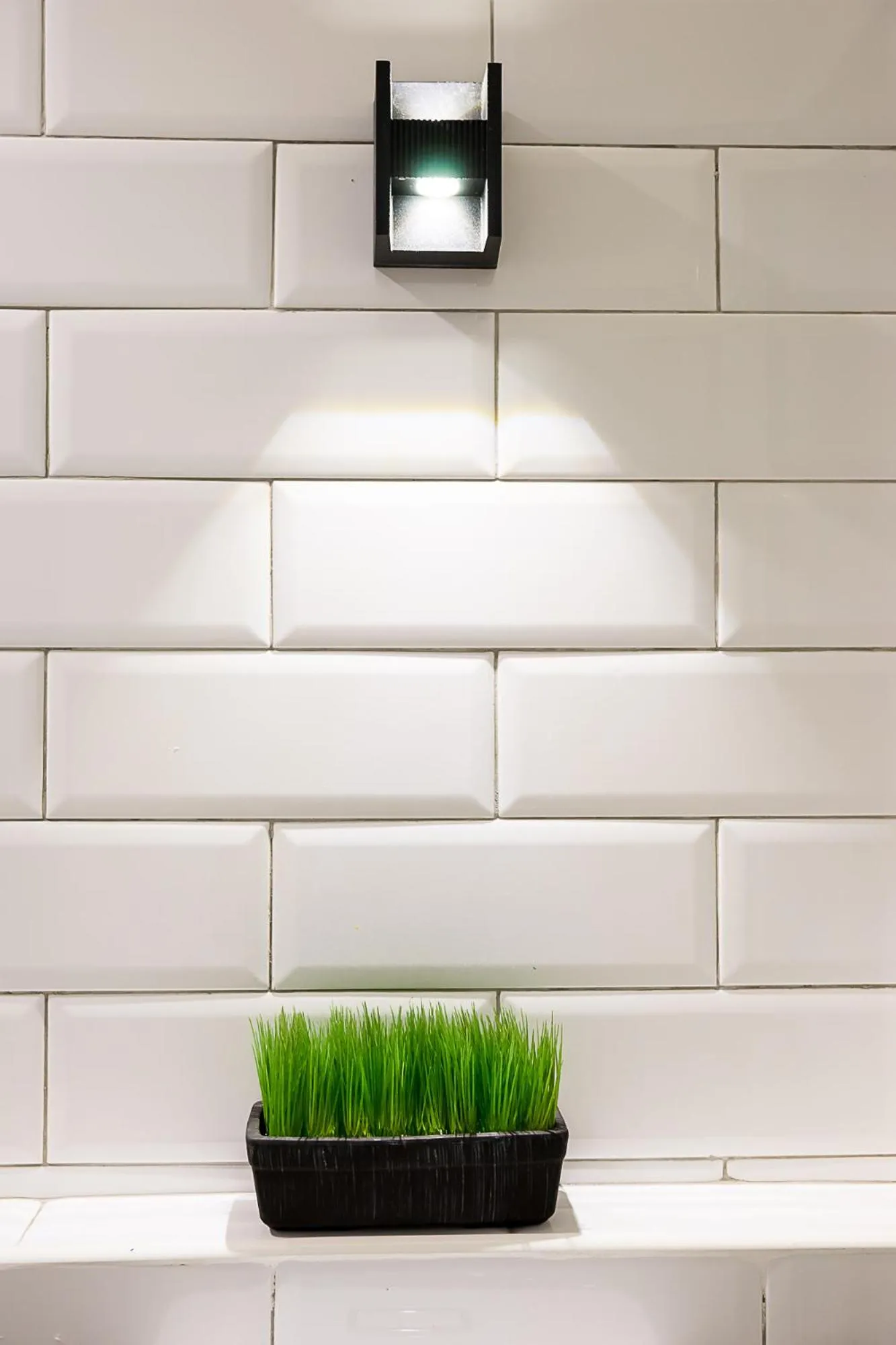 Other in Sunshine Hip Hotel