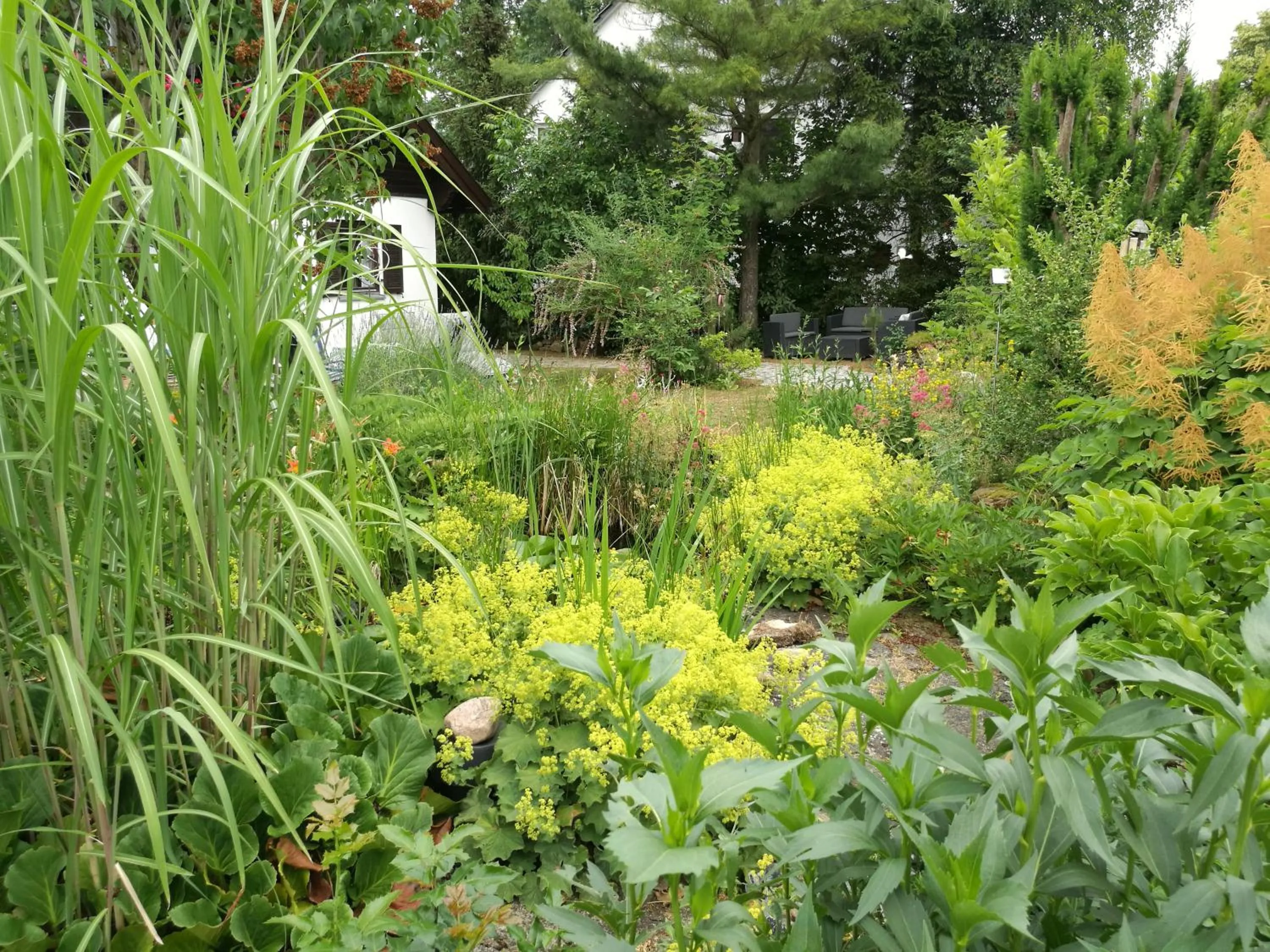 Garden in Apartment HAUS MERLIN am Böckelsberg
