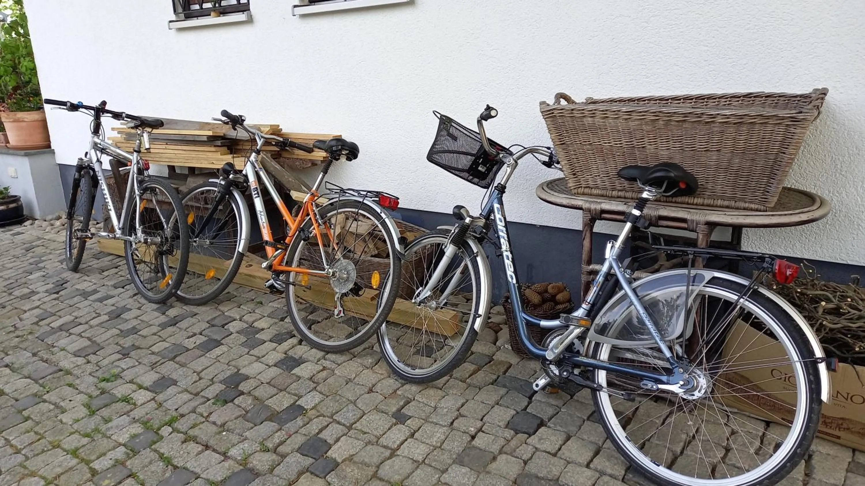 Cycling in Apartment HAUS MERLIN am Böckelsberg