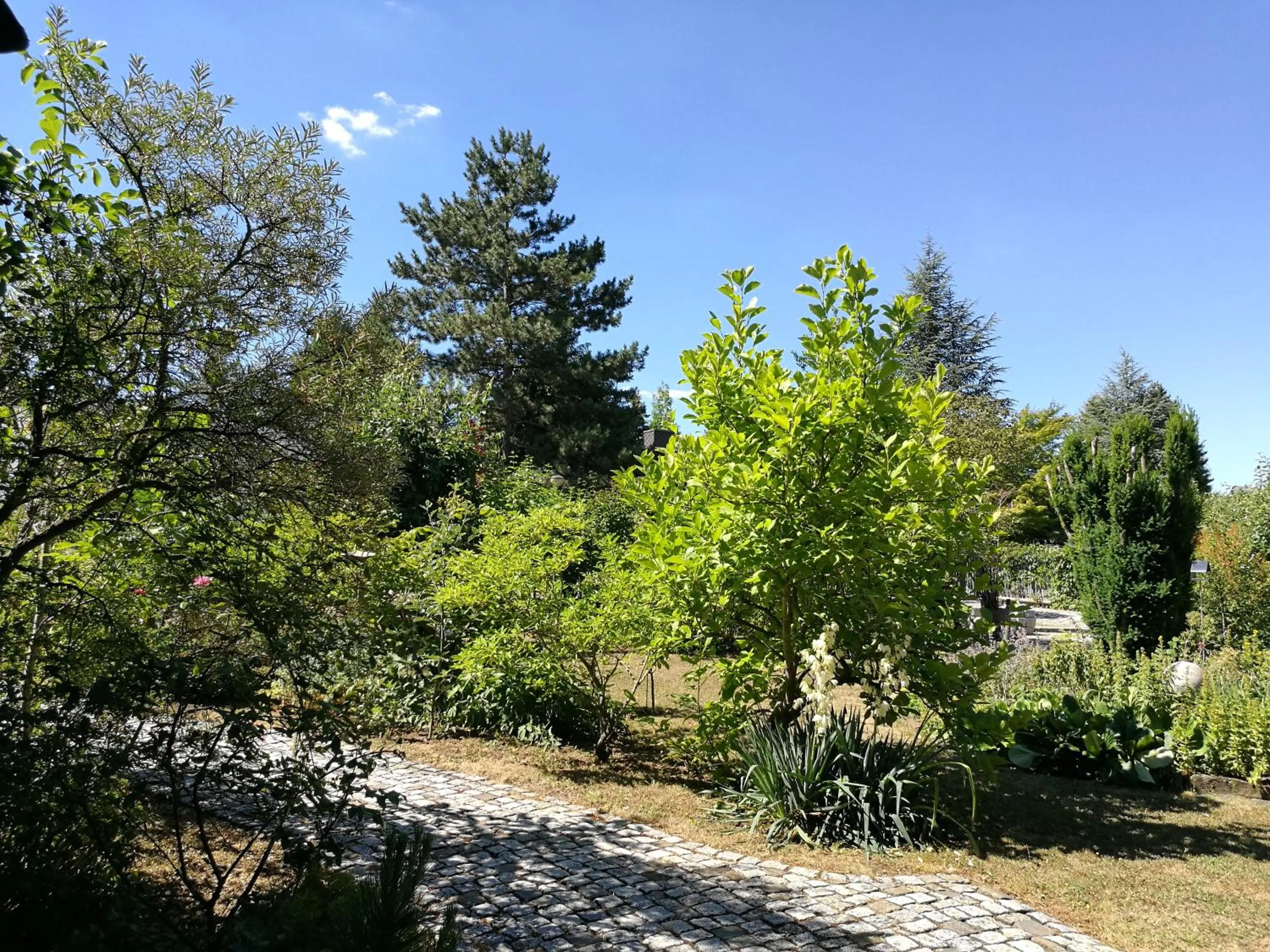Garden in Apartment HAUS MERLIN am Böckelsberg