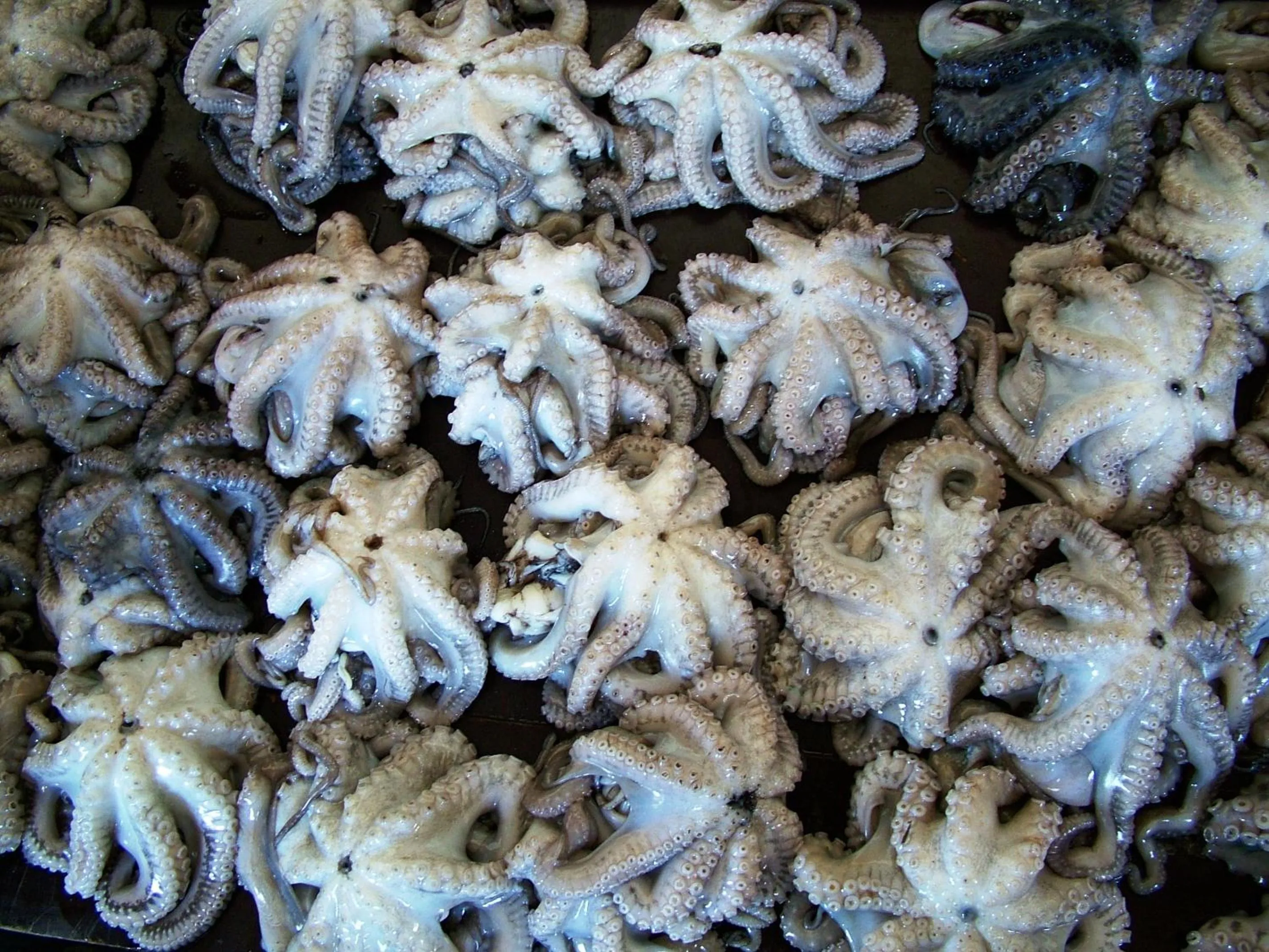 Other in Princess Salme Inn