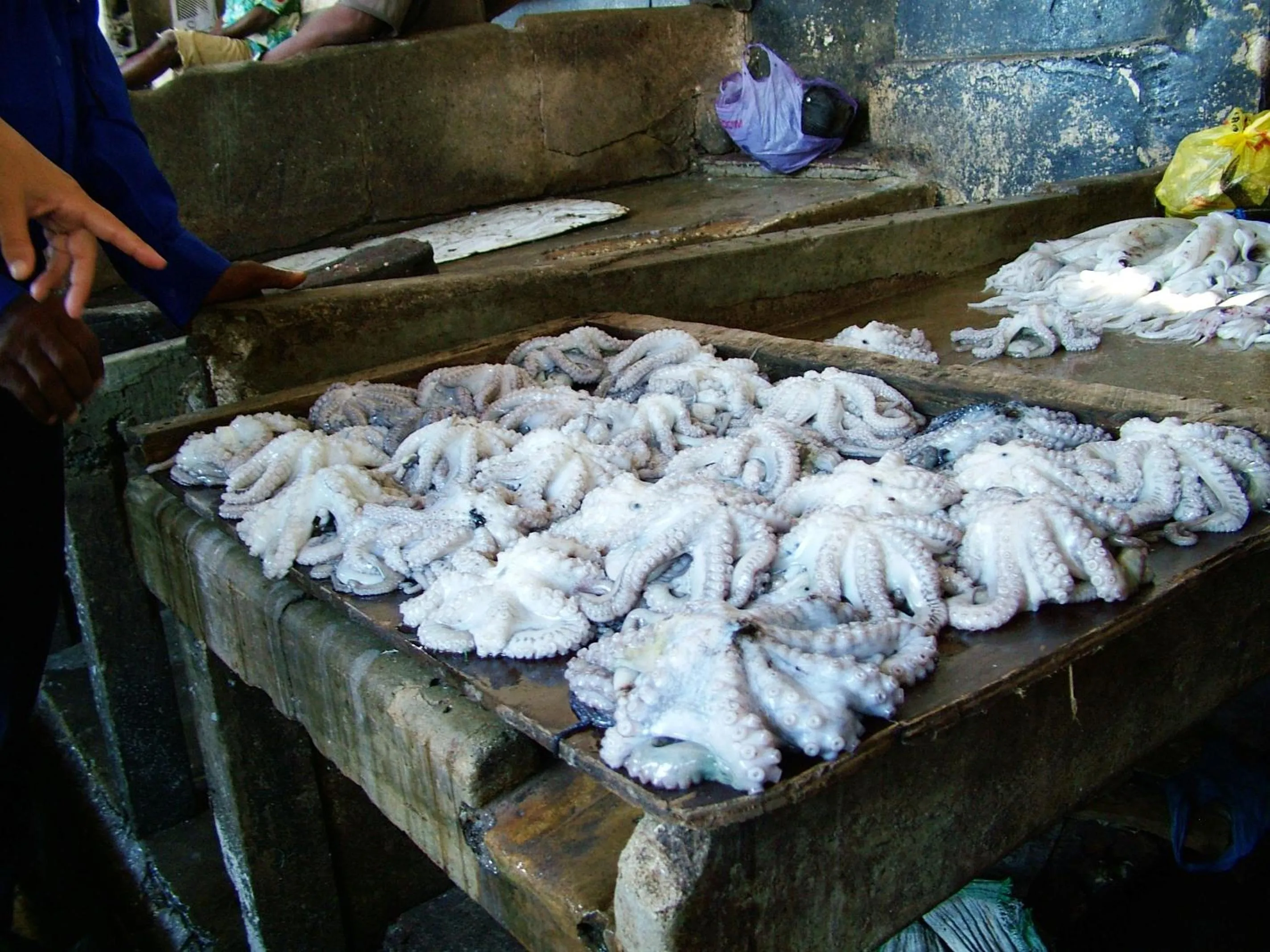 Shopping Area in Princess Salme Inn