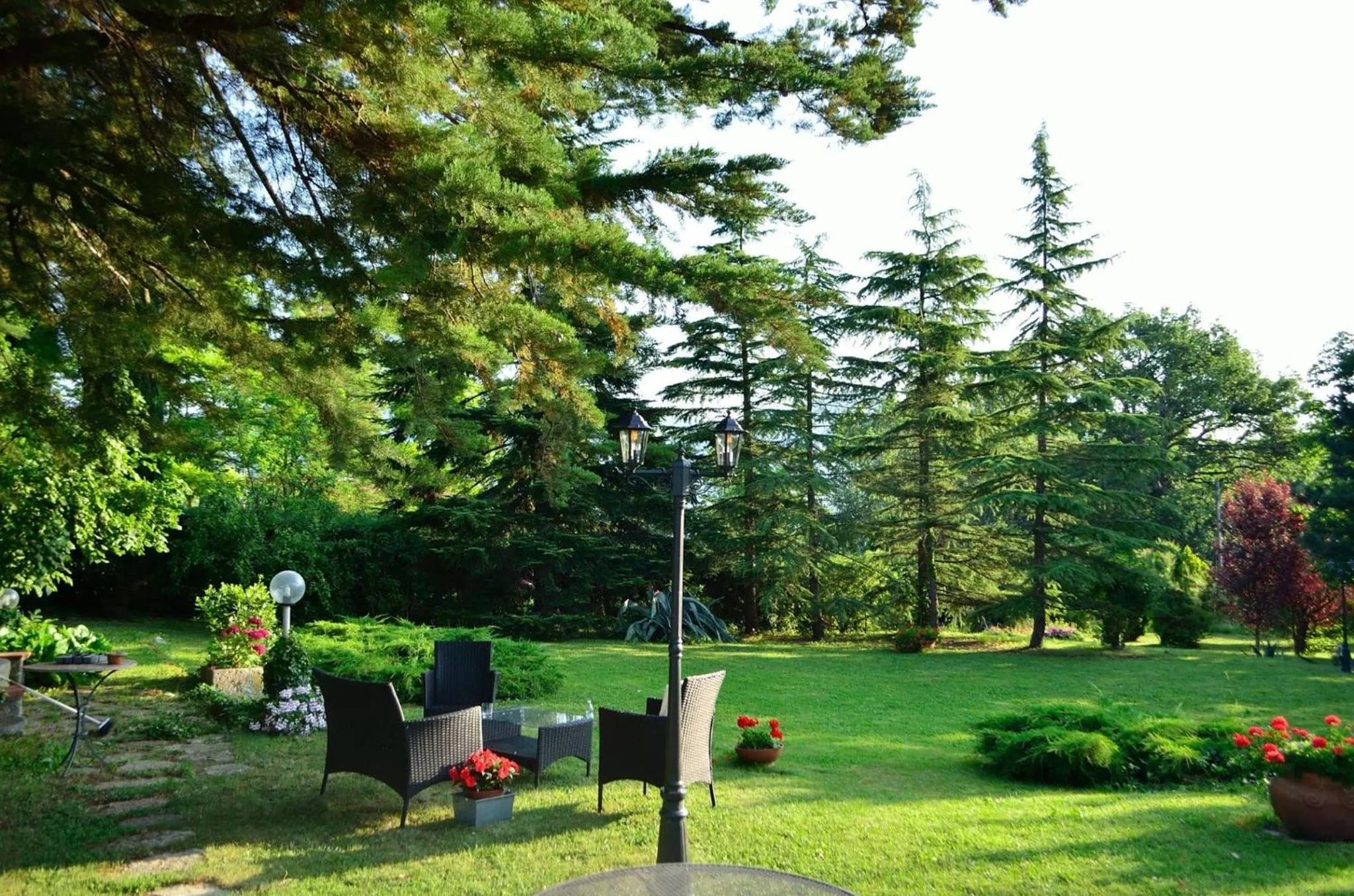 Garden in B&B Gocciaverde