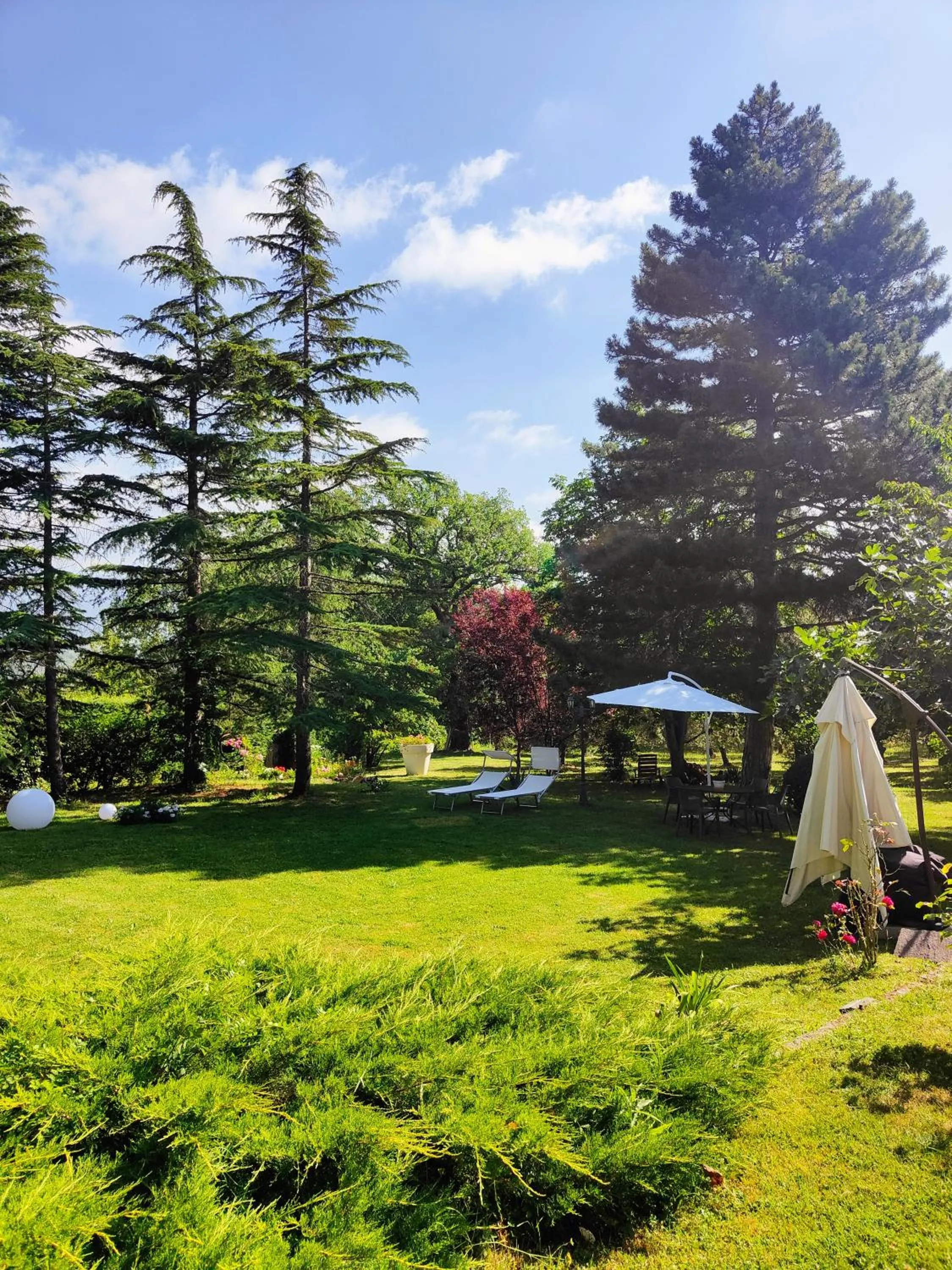 Garden in B&B Gocciaverde