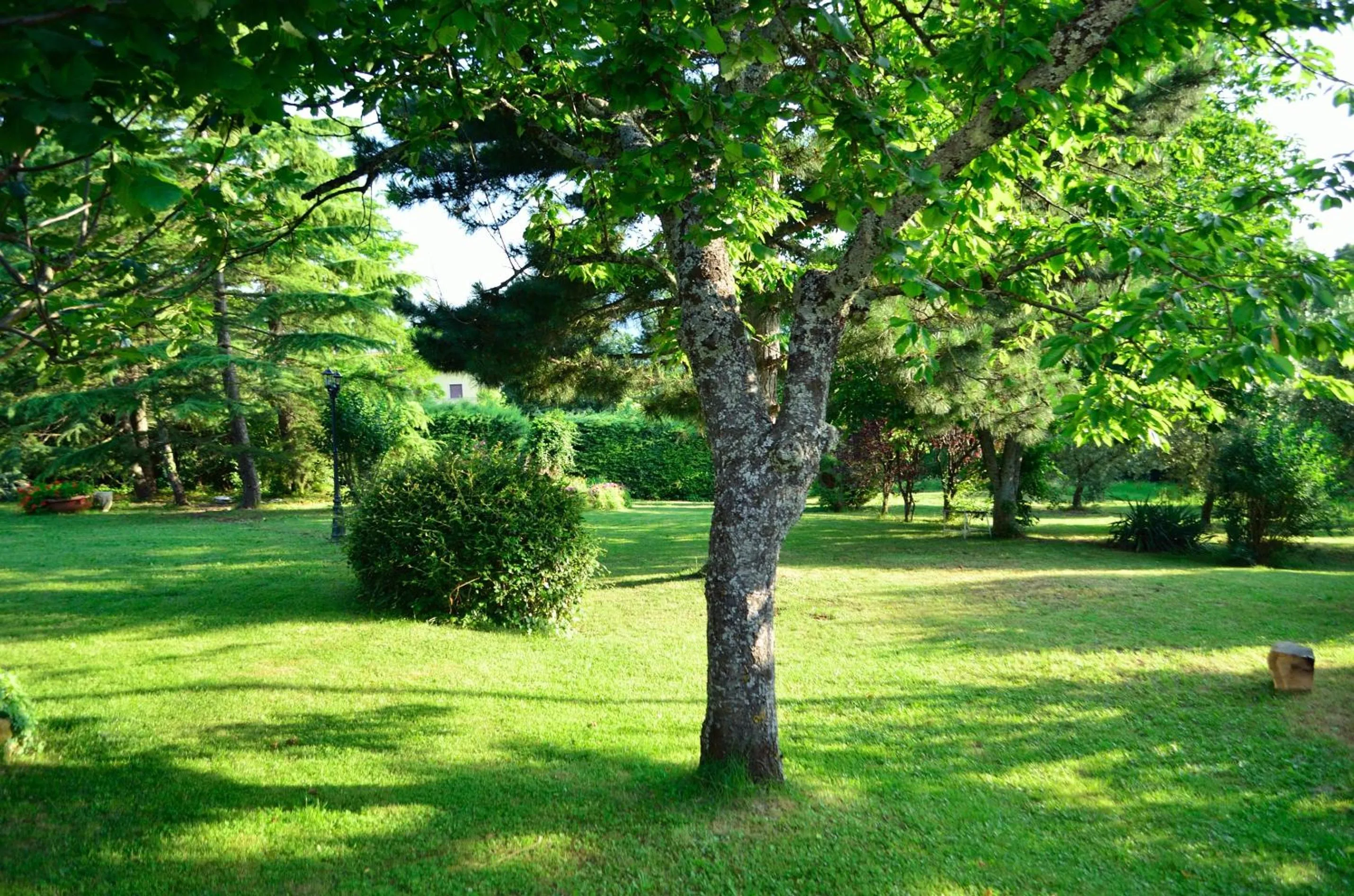 Garden in B&B Gocciaverde