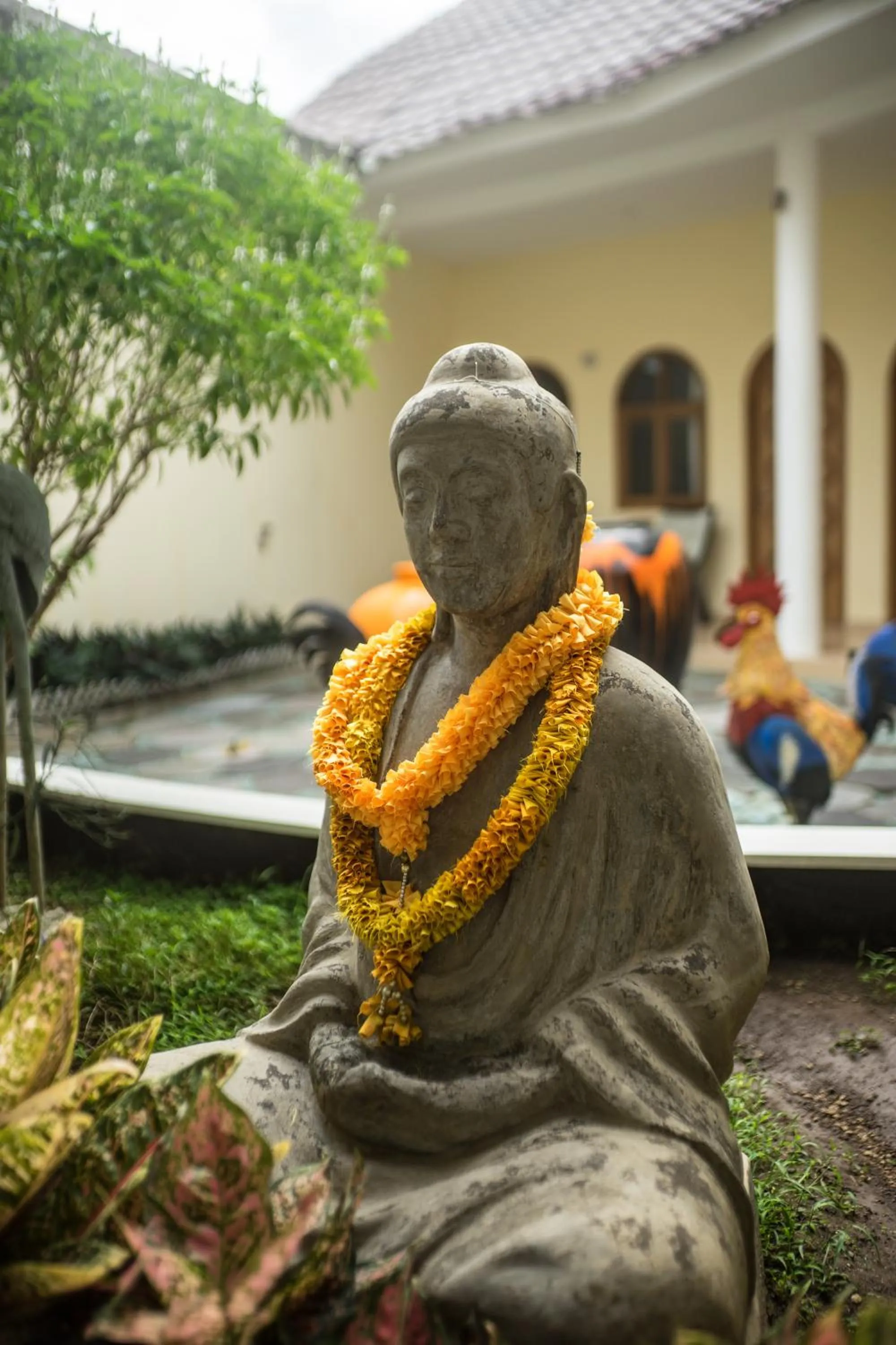 Garden in Villa Costa Plenty