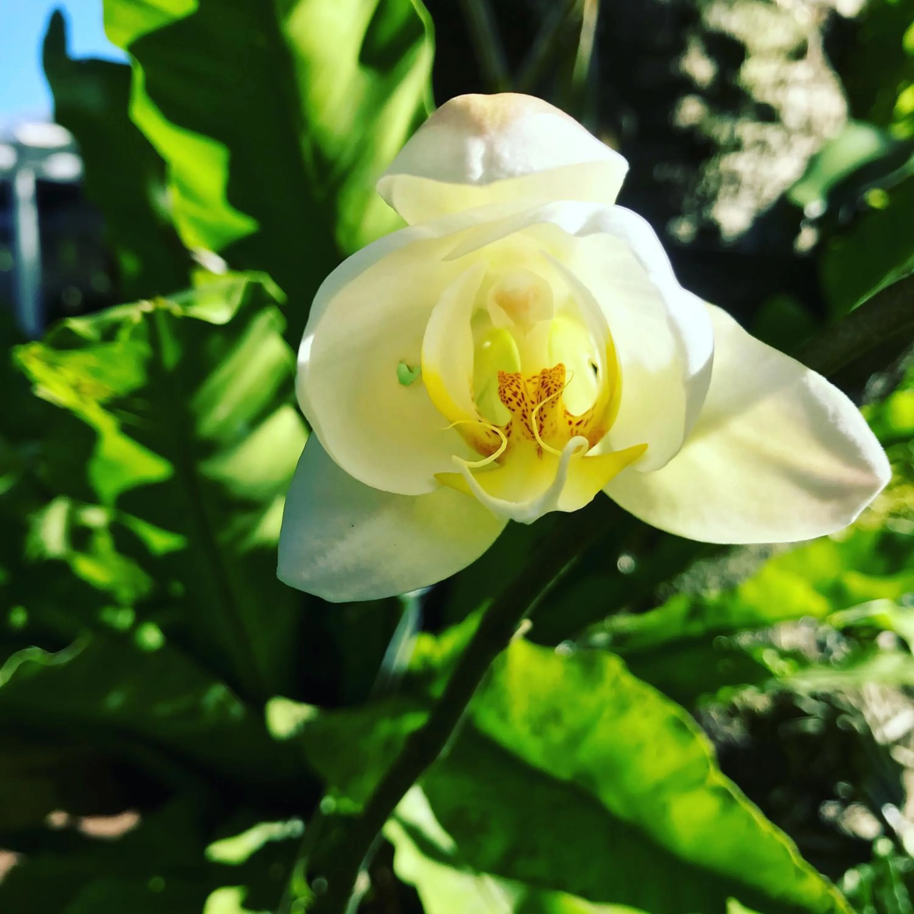 Day in Villa Costa Plenty