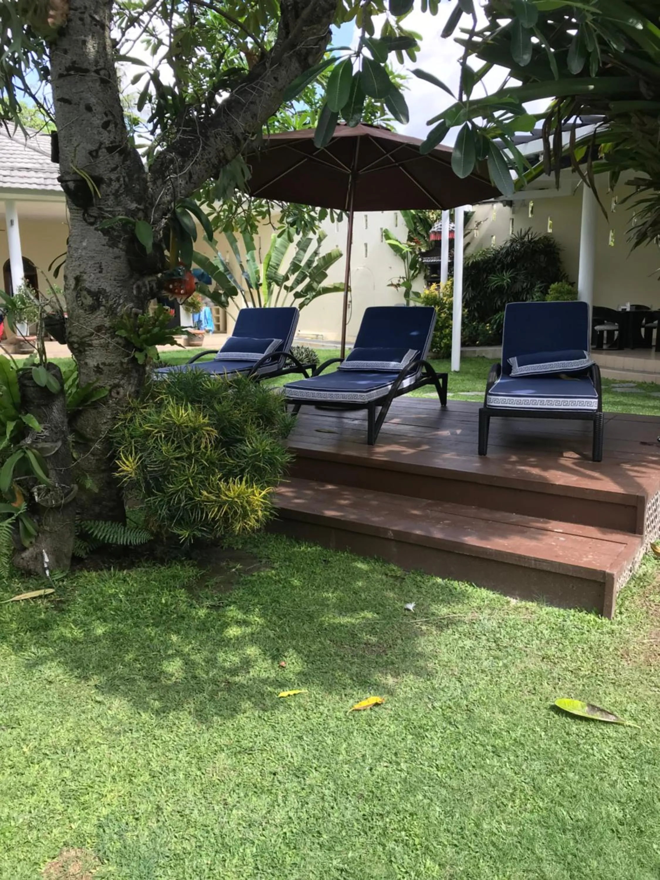 Natural landscape in Villa Costa Plenty