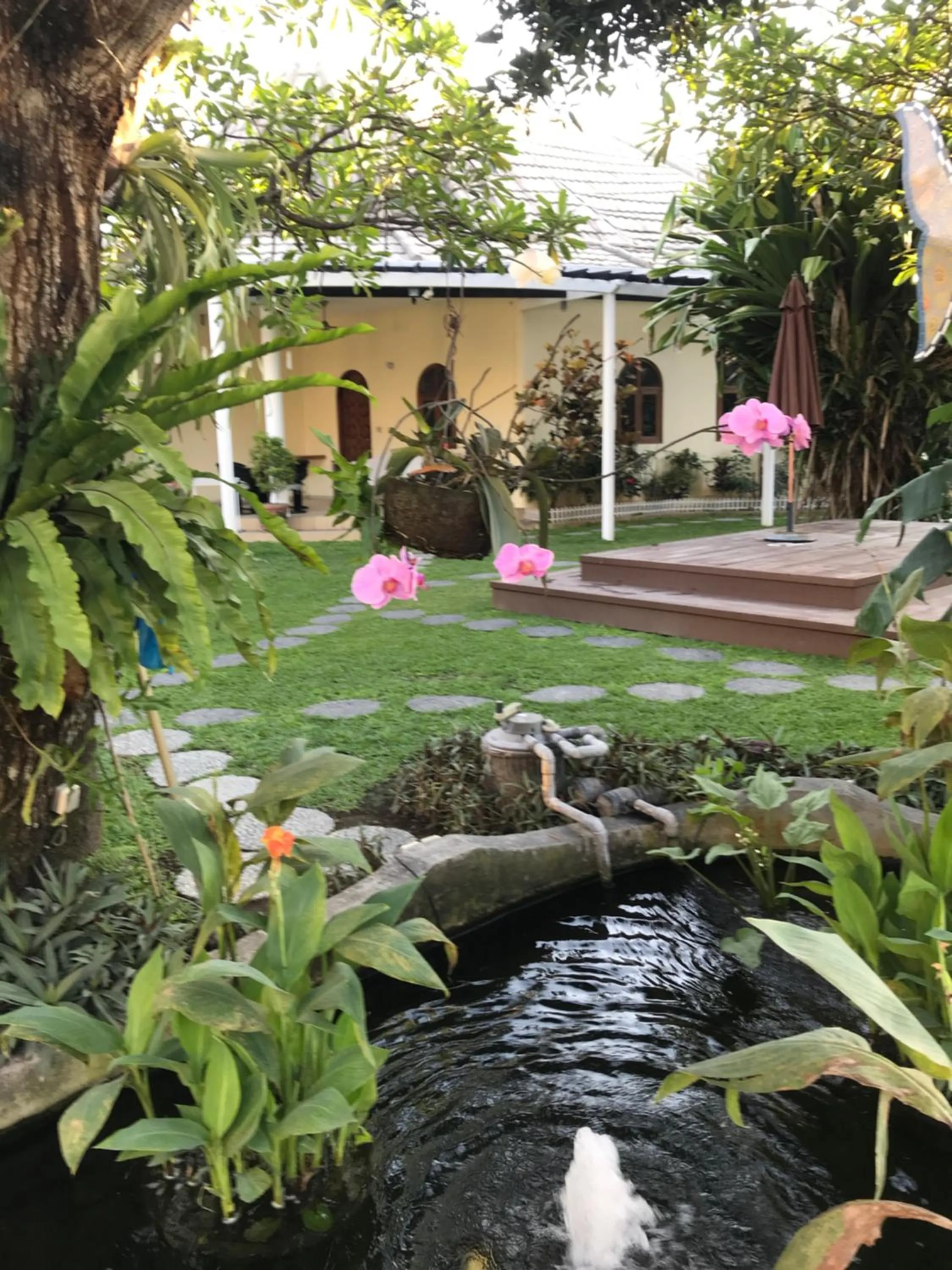 Day in Villa Costa Plenty