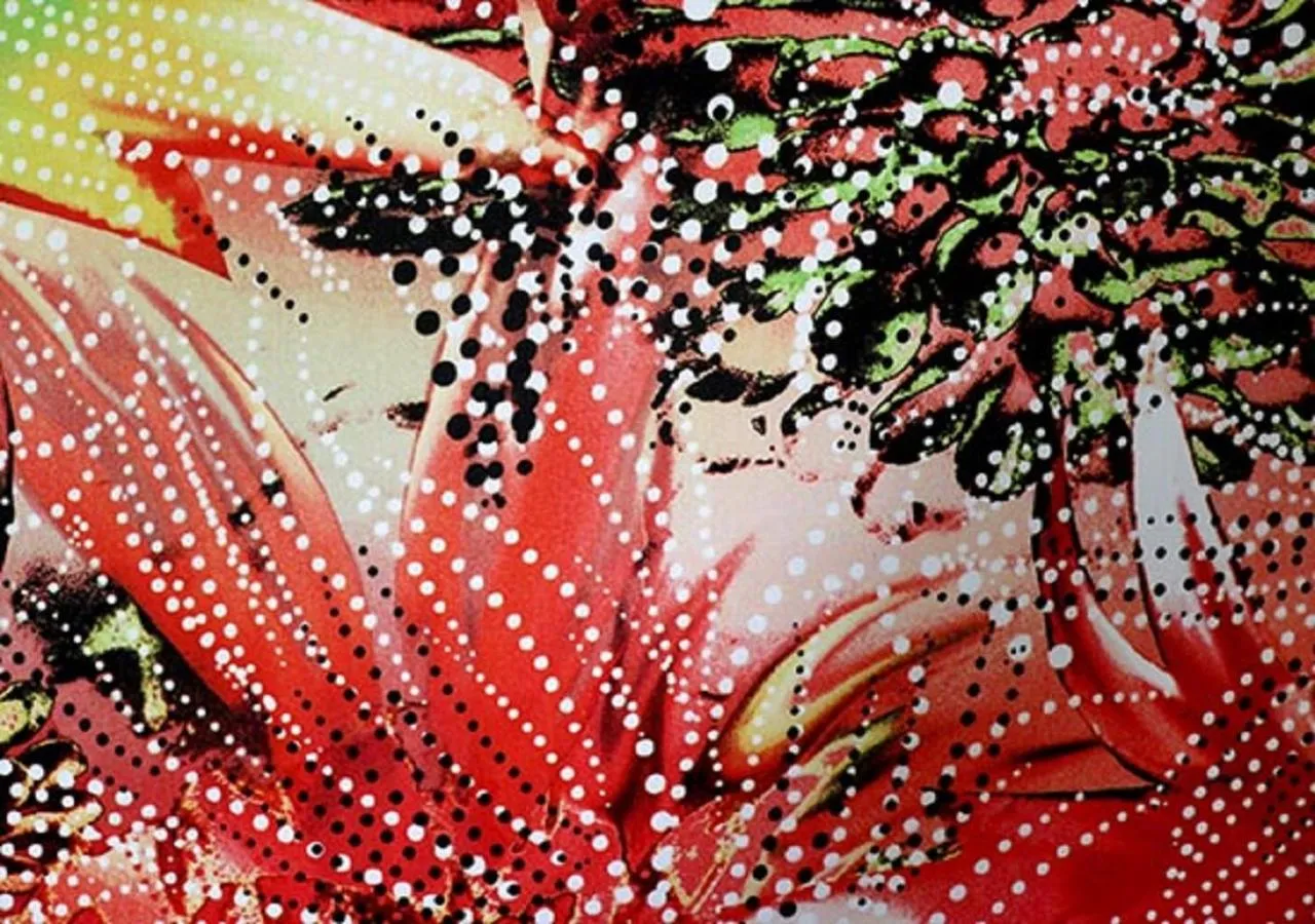 TV and multimedia in Villa Costa Plenty