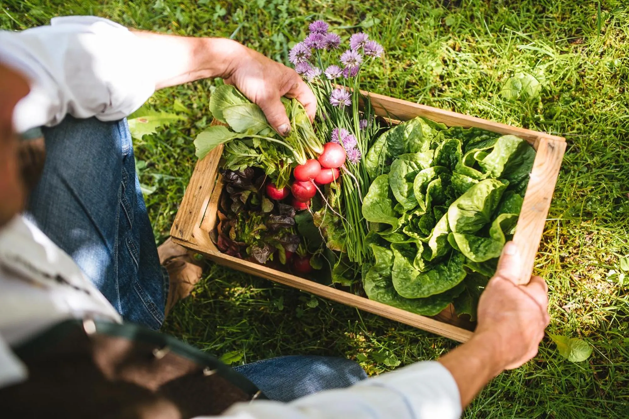 Food and drinks in Hotel Zum Mohren