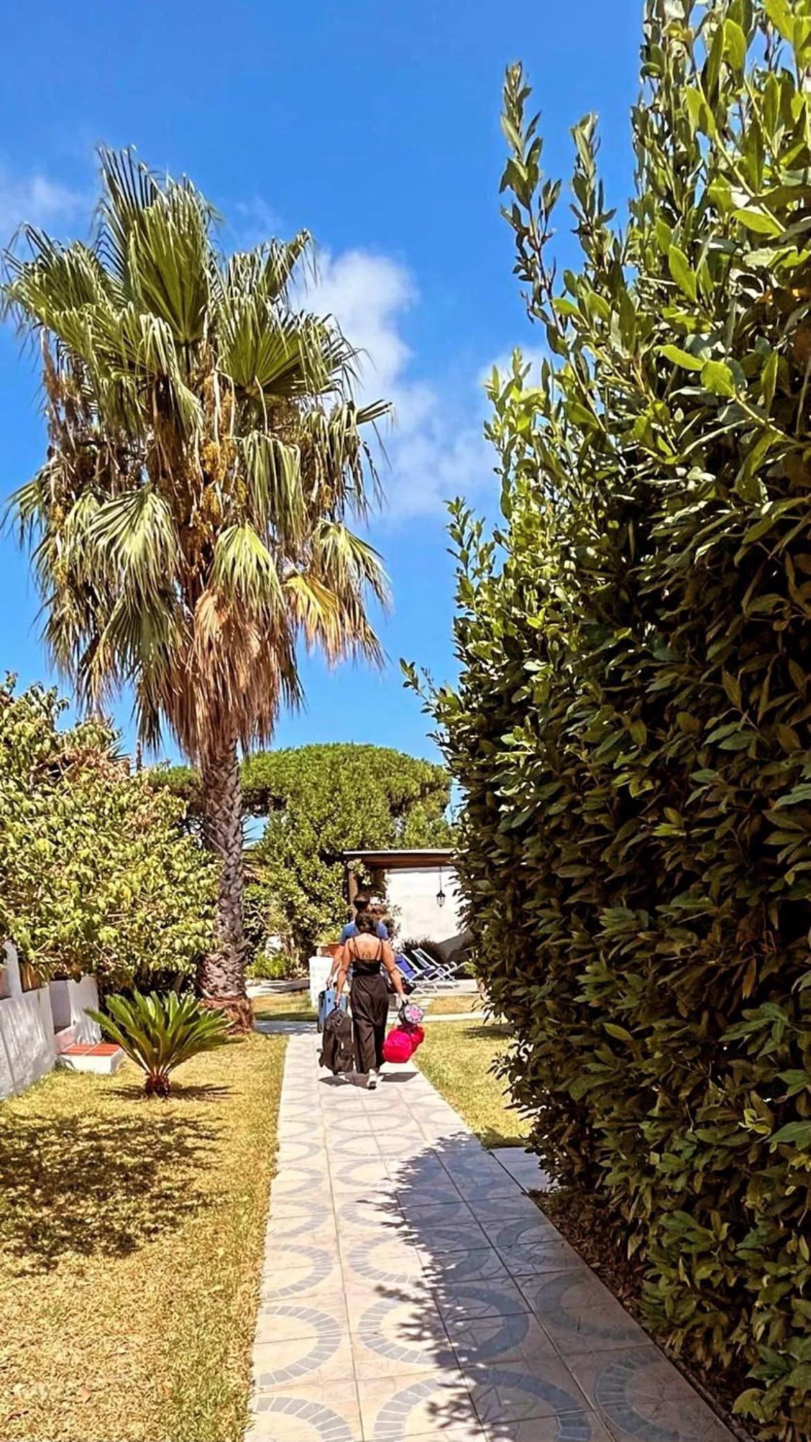 Garden view in Case Vacanze Le Buganville