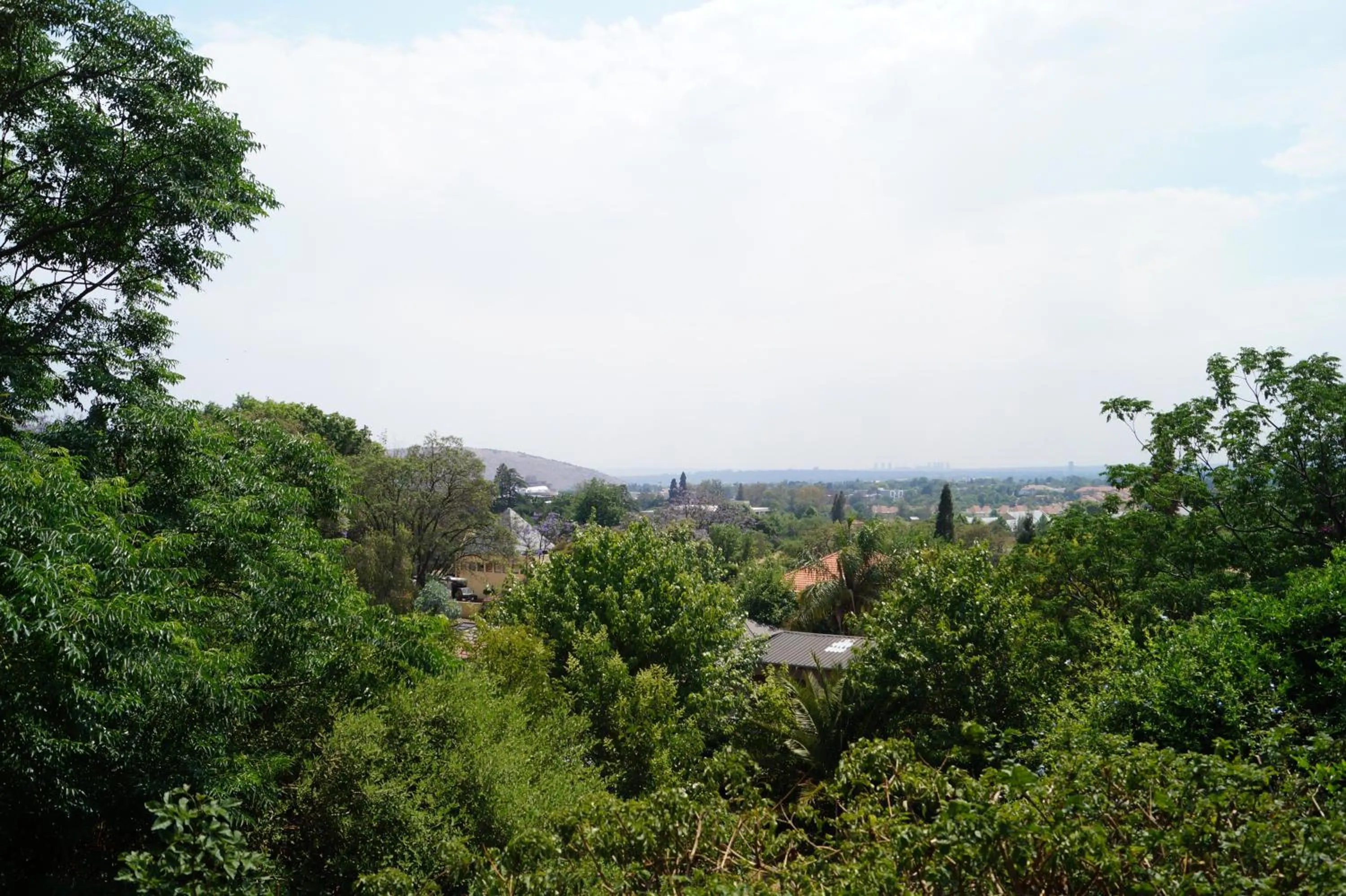 City view in Westmoreland Lodge