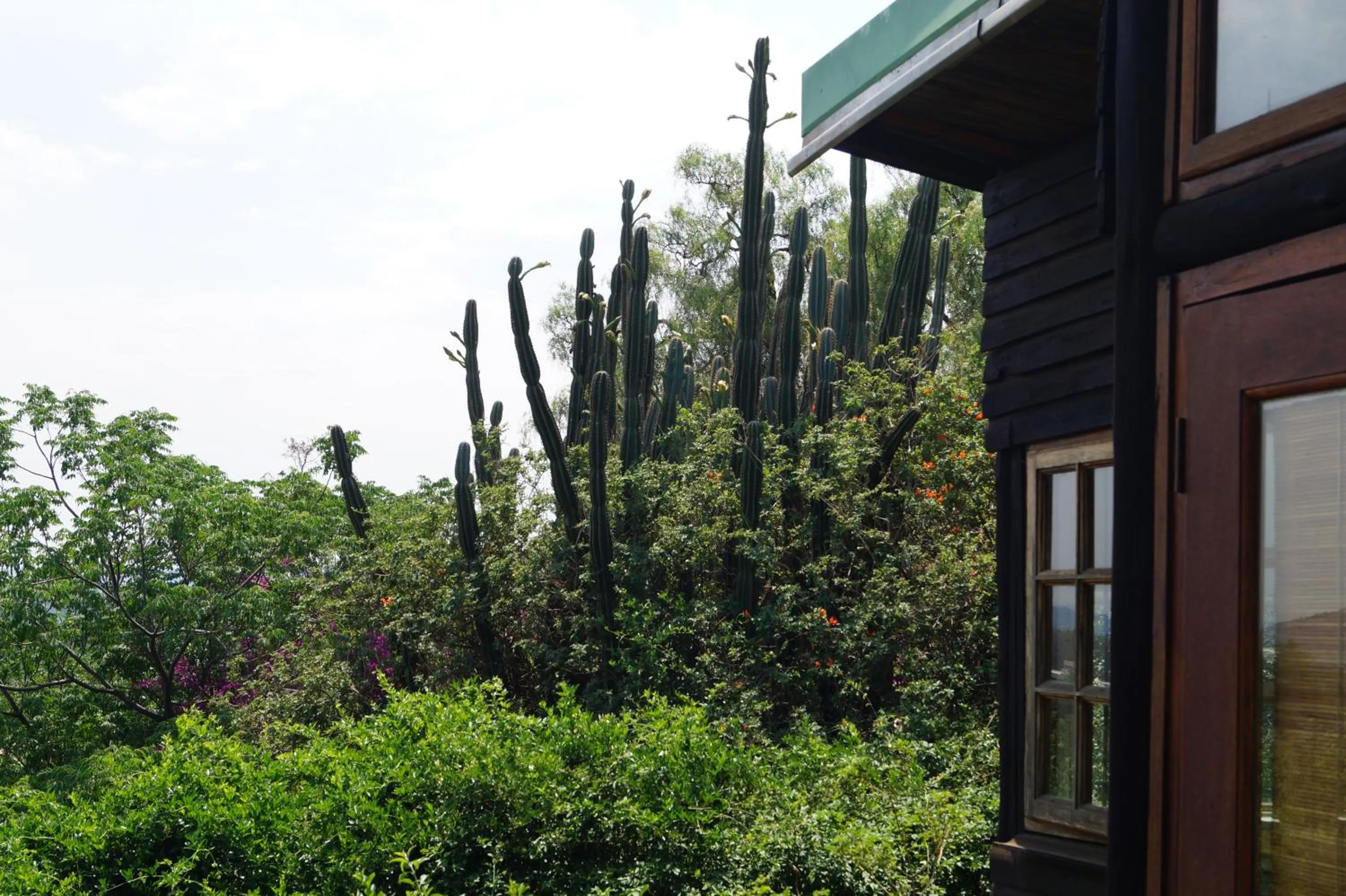 City view in Westmoreland Lodge