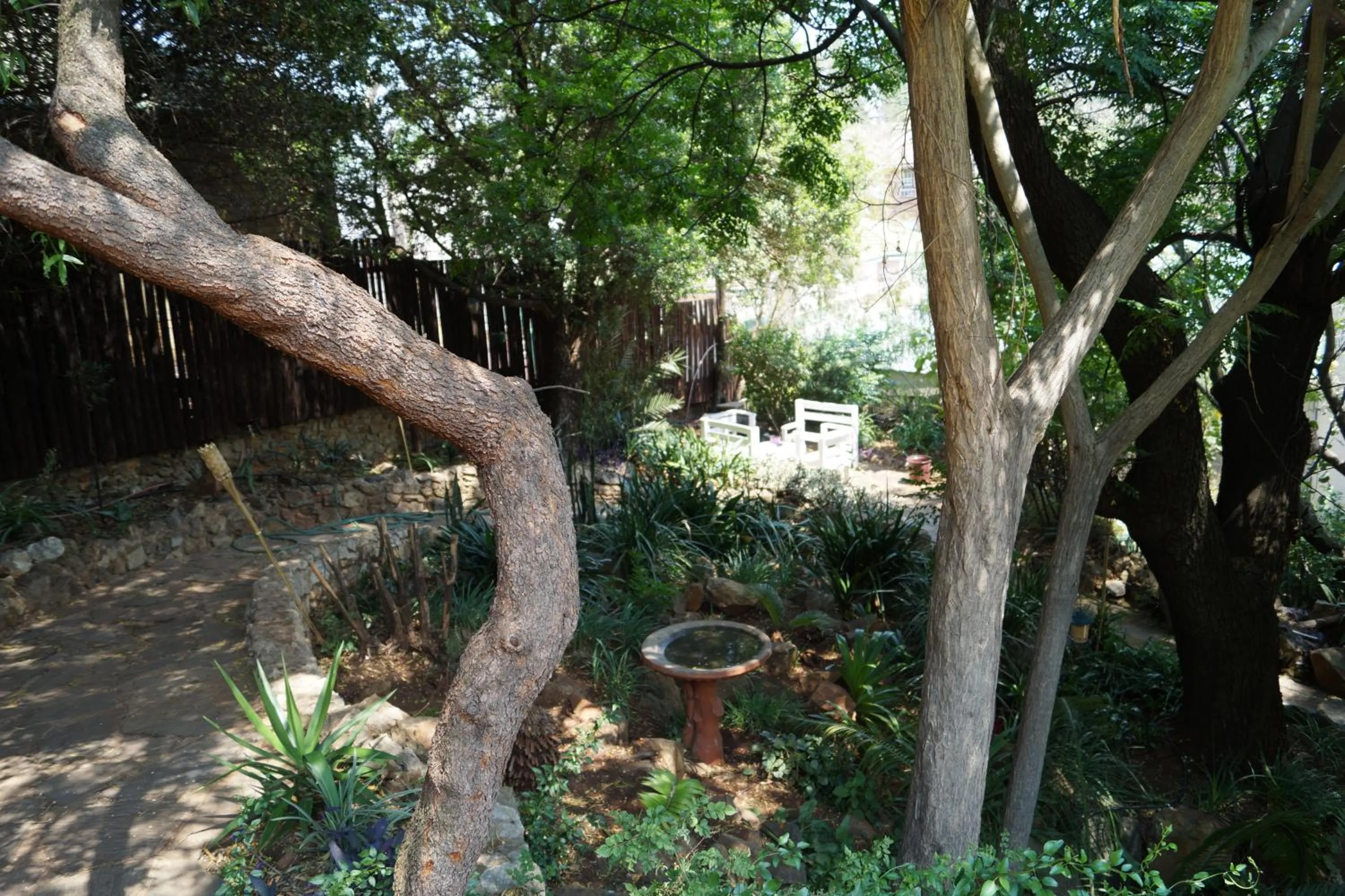 Garden in Westmoreland Lodge