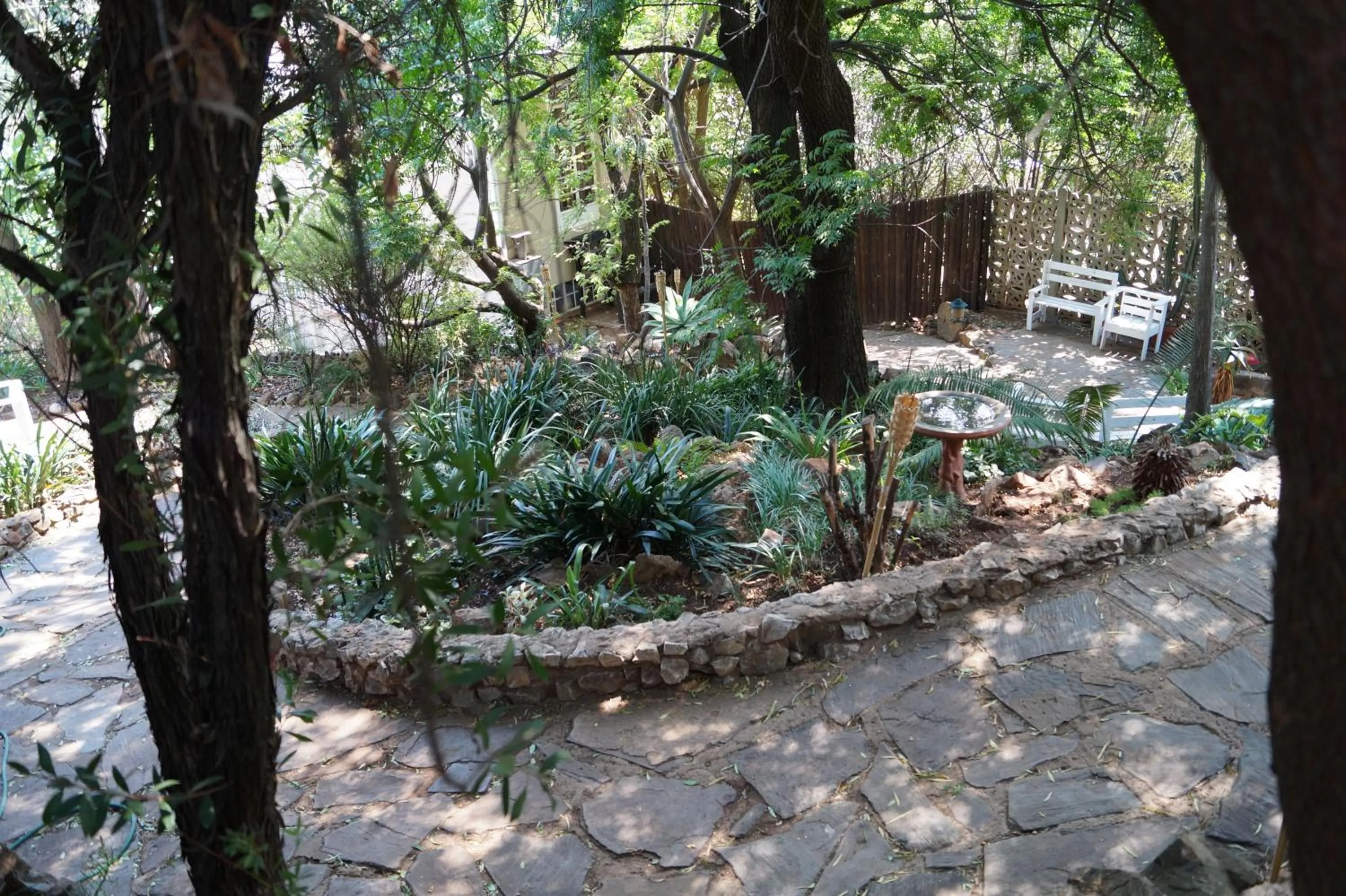 Garden in Westmoreland Lodge