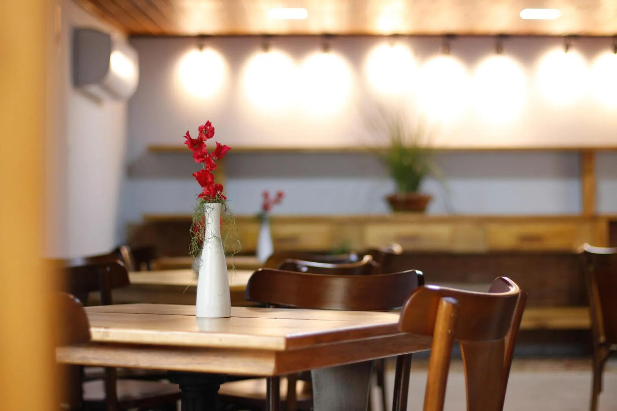 Breakfast in San Diego Lancaster Teófilo Otoni