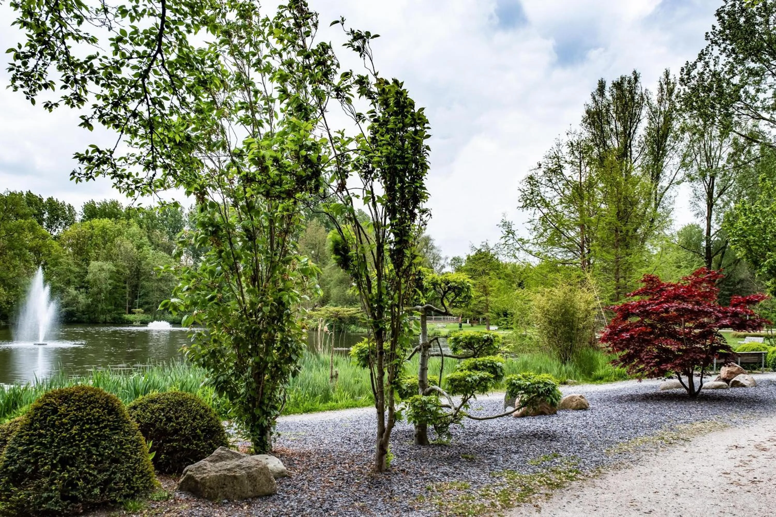 Other in Element Amsterdam