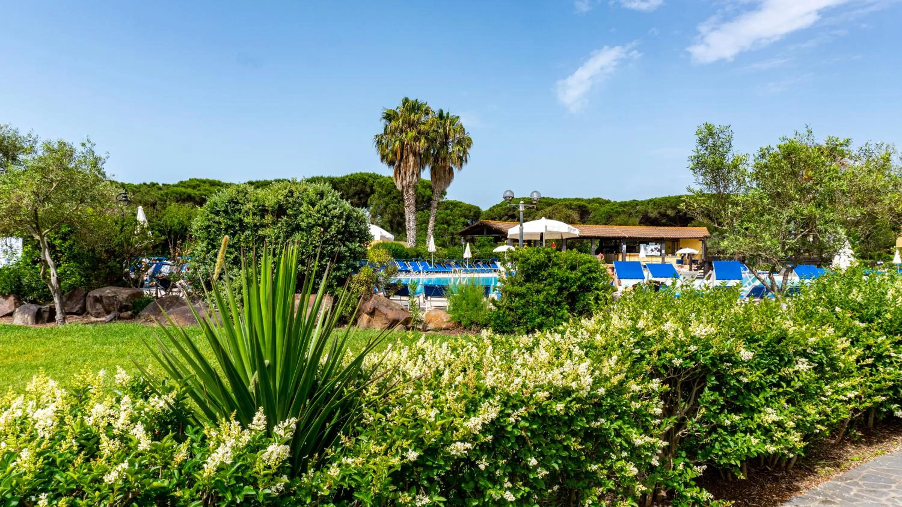 Garden in Horse Country Resort Congress & Spa - Hotel Ribot