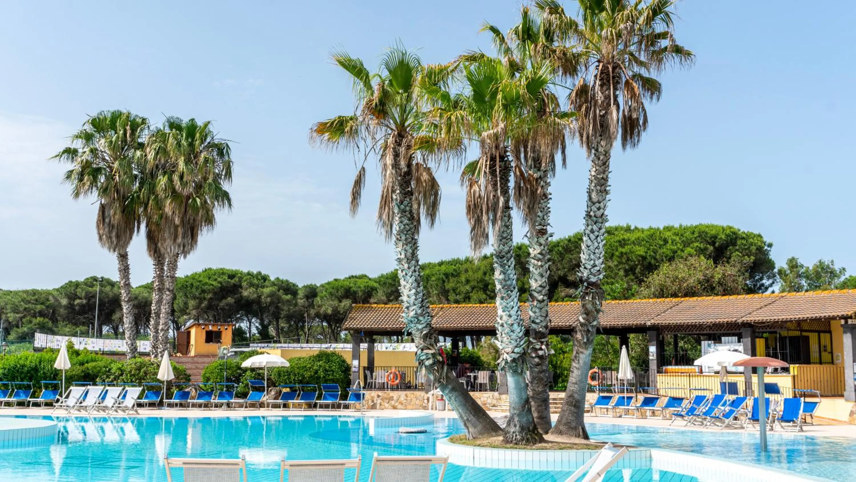 Swimming pool in Horse Country Resort Congress & Spa - Hotel Ribot