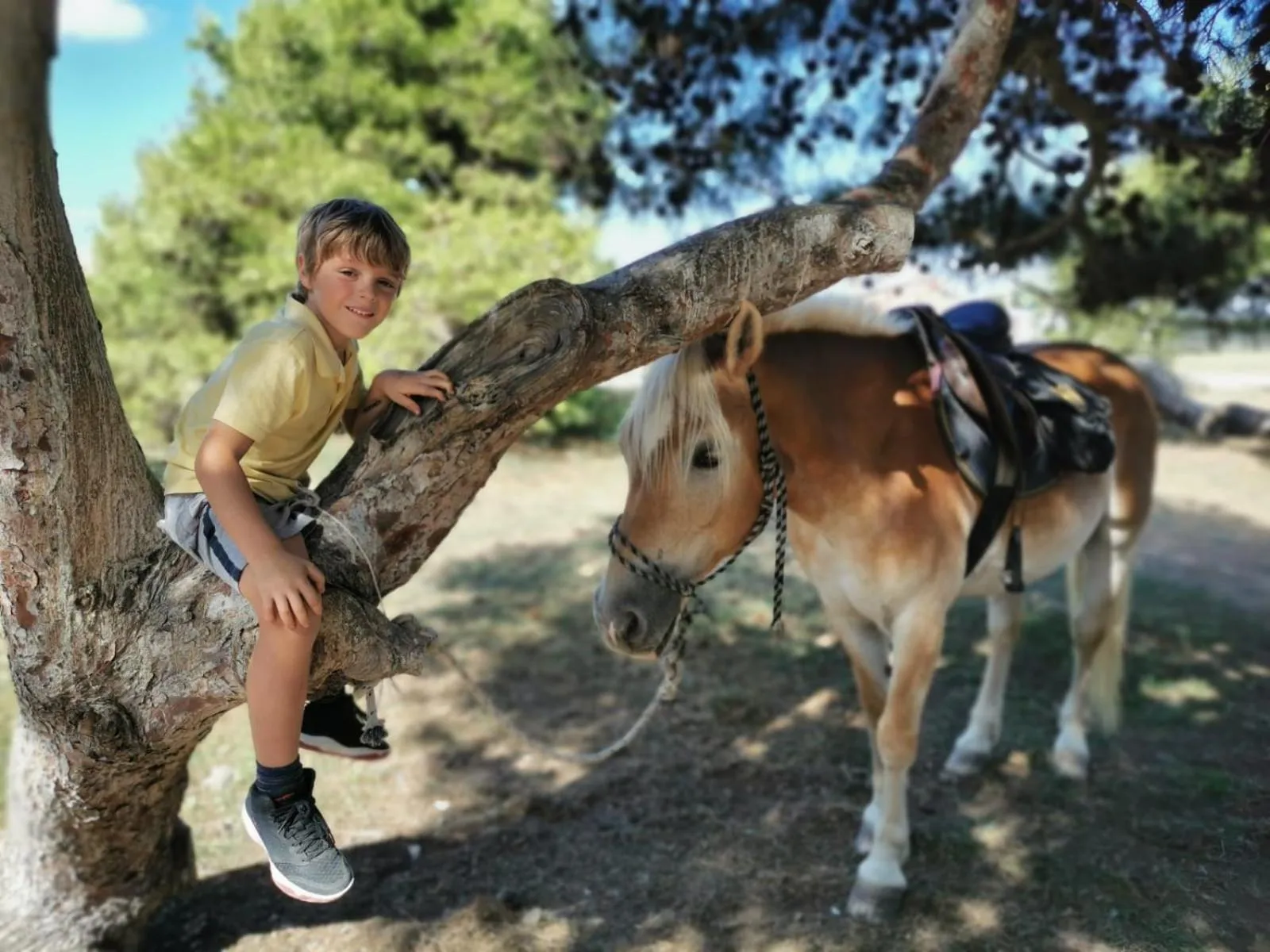 People in Horse Country Resort Congress & Spa - Hotel Ribot