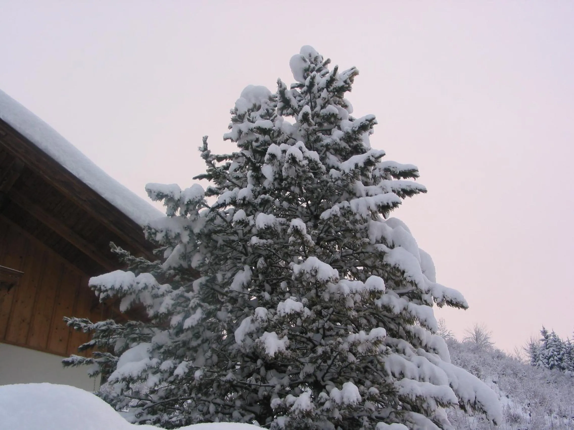 Winter in Haus Bergland