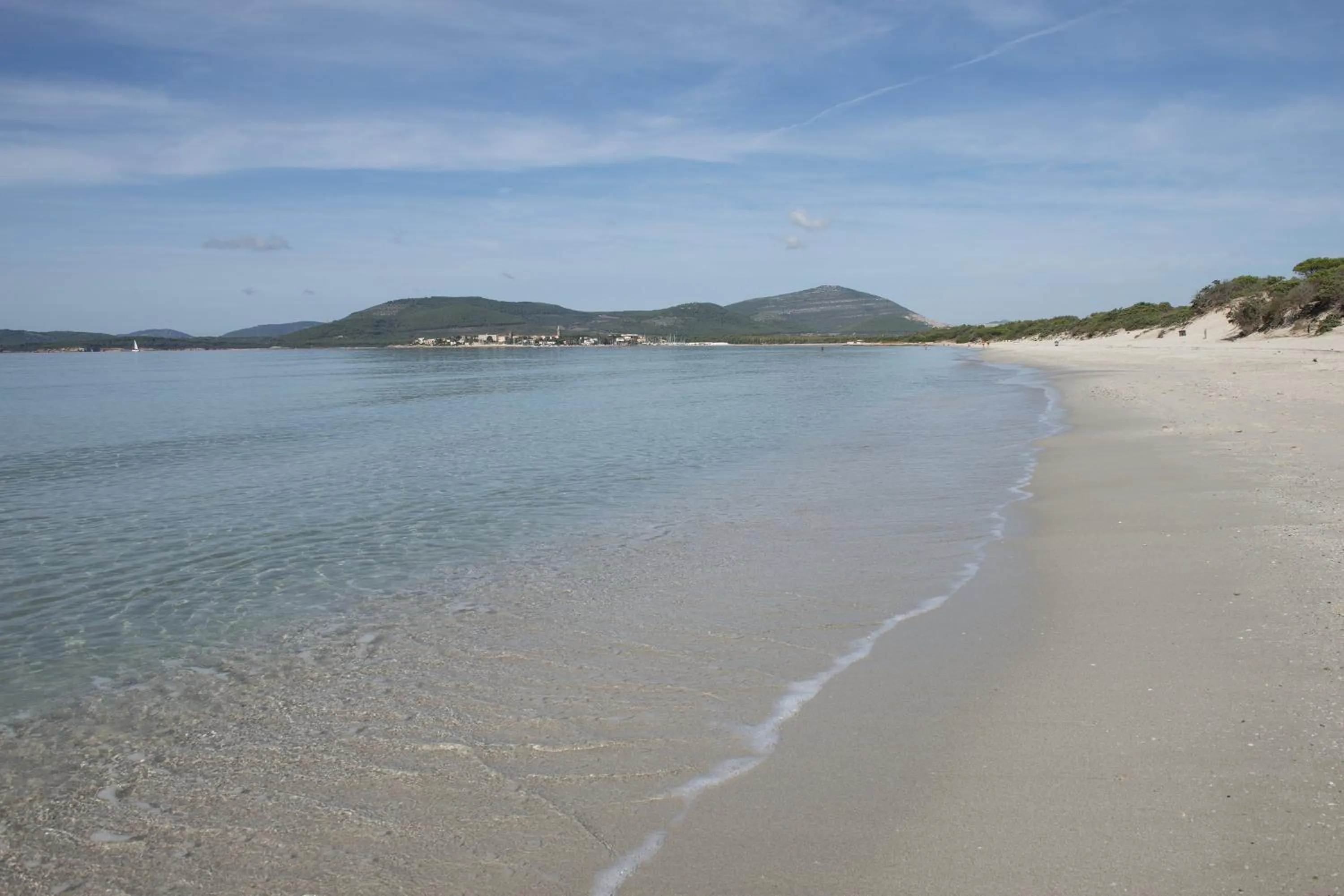 Beach in Hotel Oasis