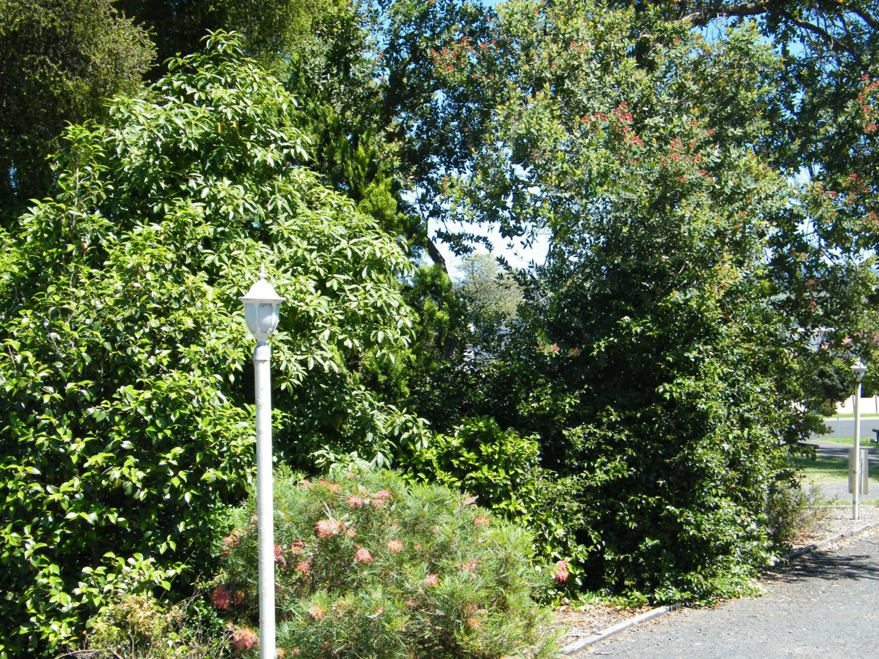 Garden in Bega Caravan Park