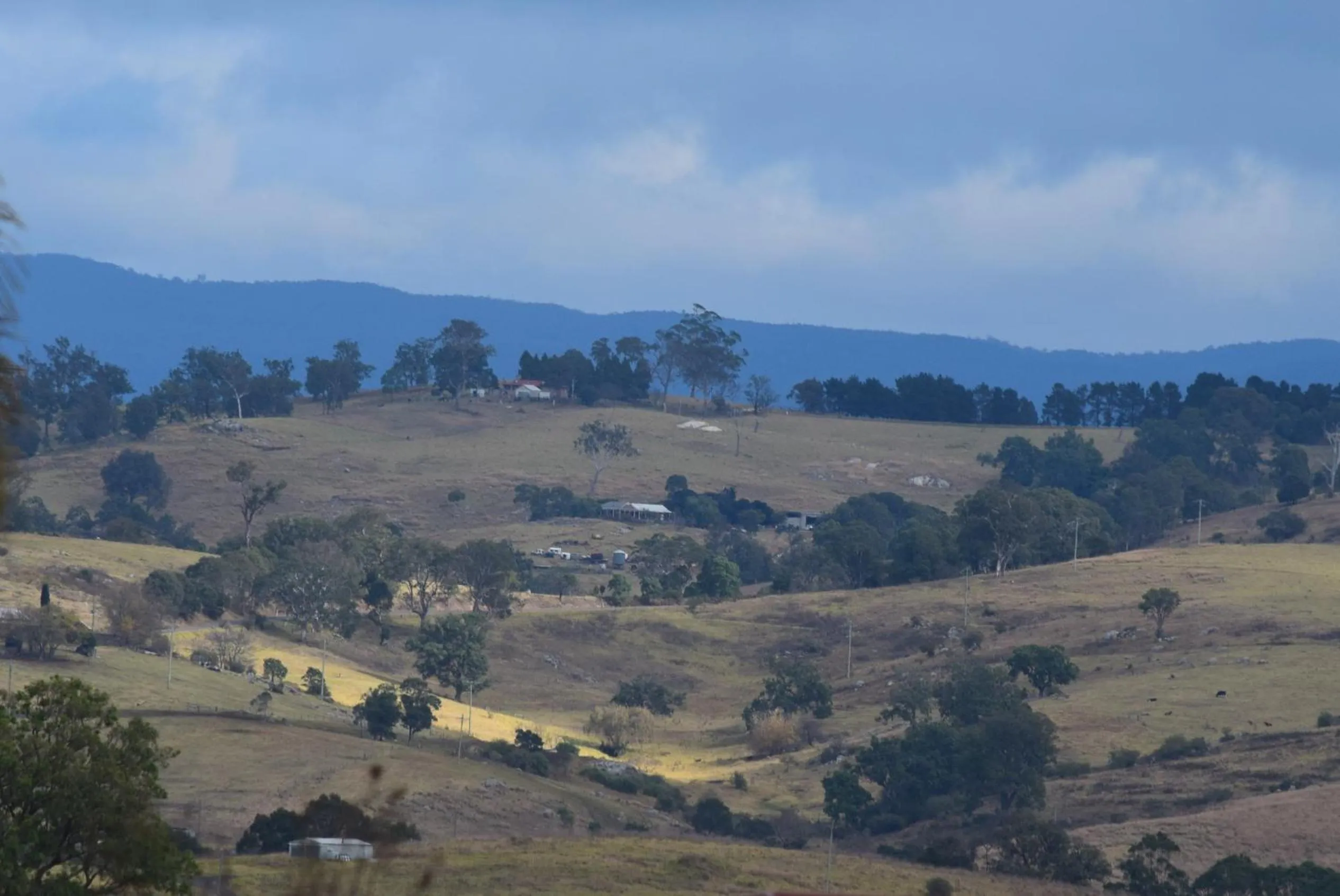 Natural landscape in Bega Caravan Park