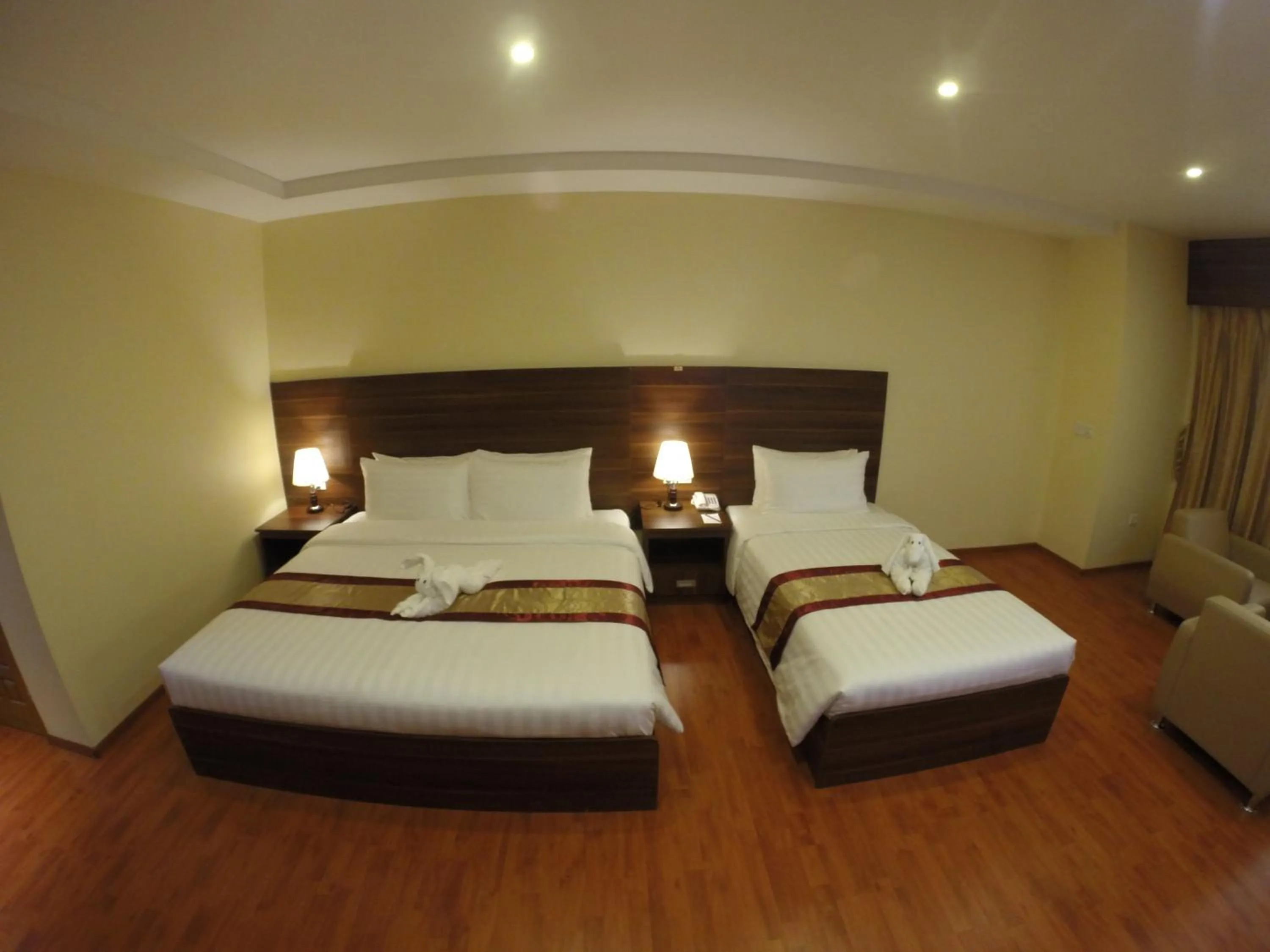 Night in Silver Green Hotel