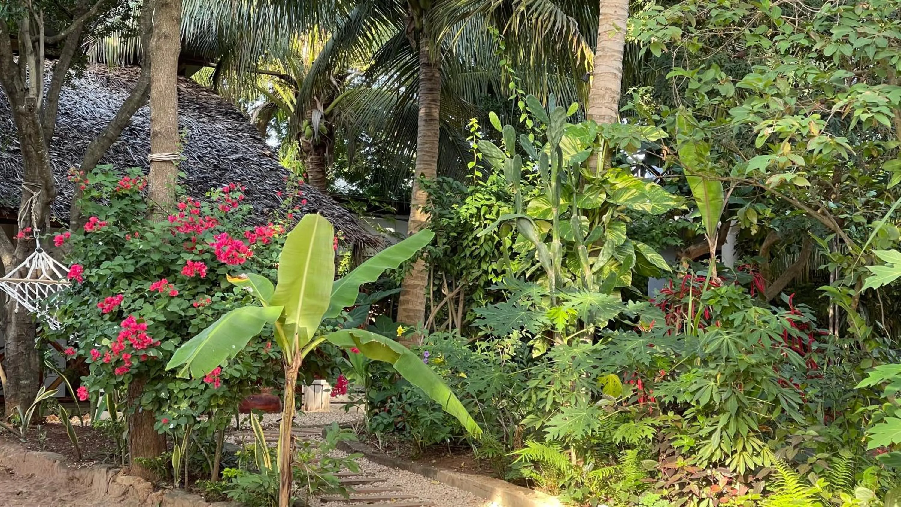 Garden in Atii Garden Bungalows