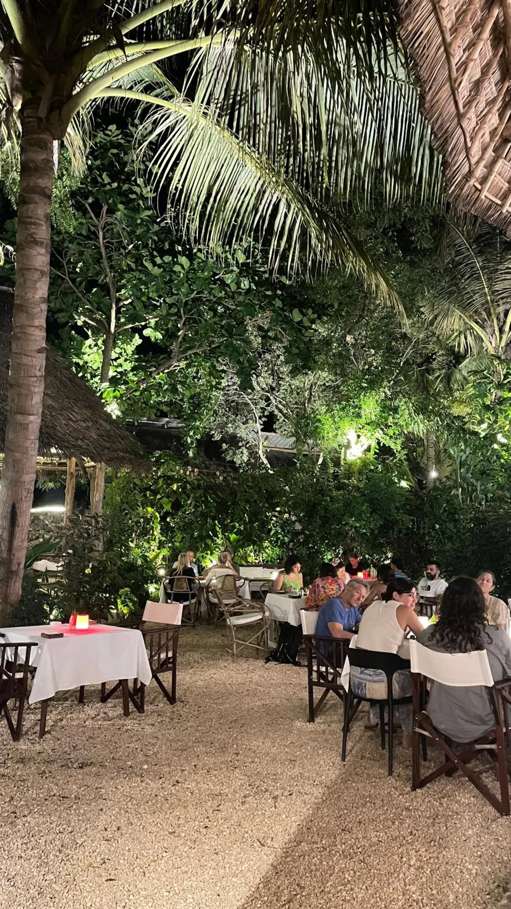 Restaurant/places to eat in Atii Garden Bungalows