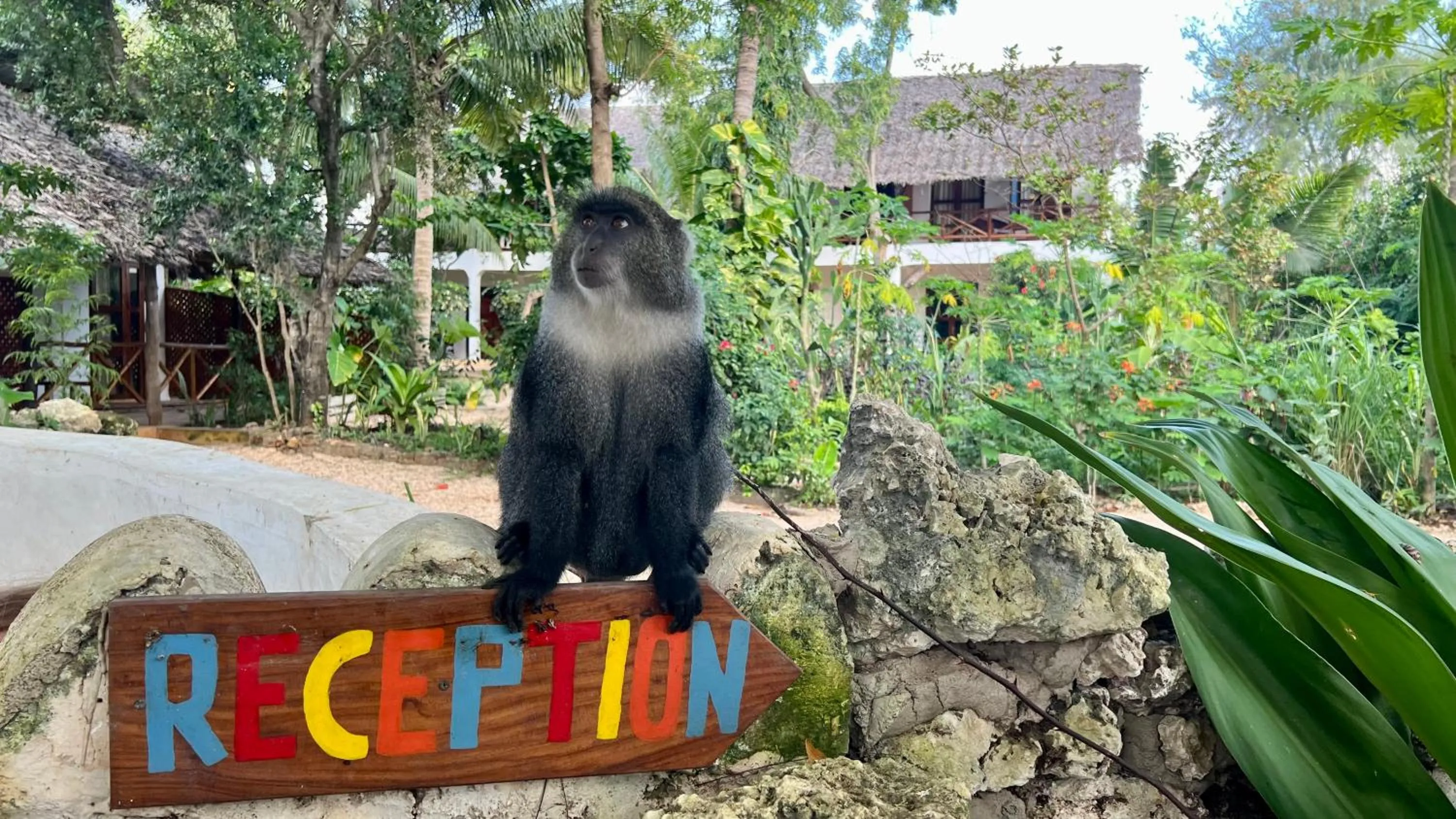 Lobby or reception in Atii Garden Bungalows