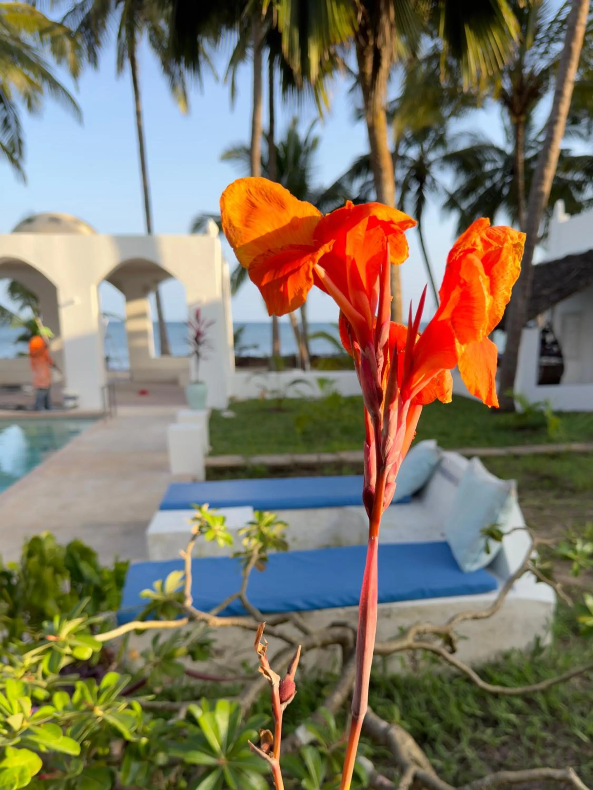 Day in Sawa Sawa Beach House